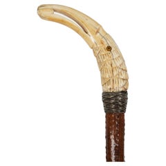 Very Fine Carved Bird-Head Antique Walking Stick Cane