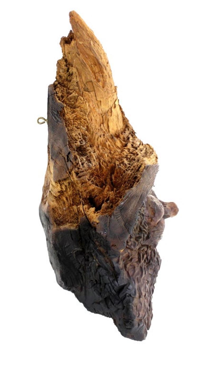 Walnut Very Fine Detailed Burl Wood Carving of an Elf or Gnome Face Wall Sculpture MINT For Sale