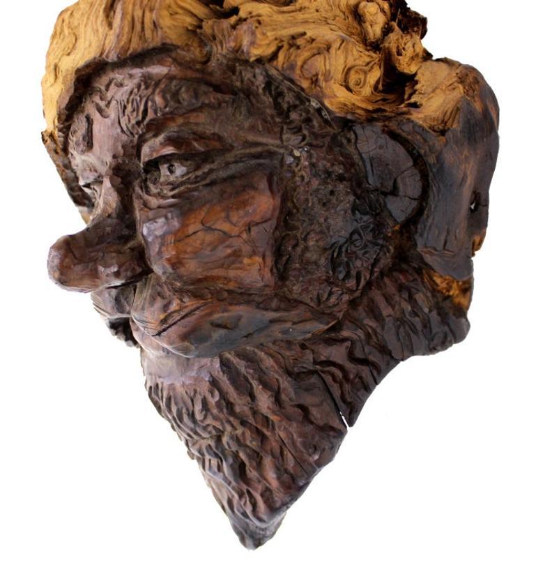 Very Fine Detailed Burl Wood Carving of an Elf or Gnome Face Wall Sculpture MINT.
Artist dated and signed.