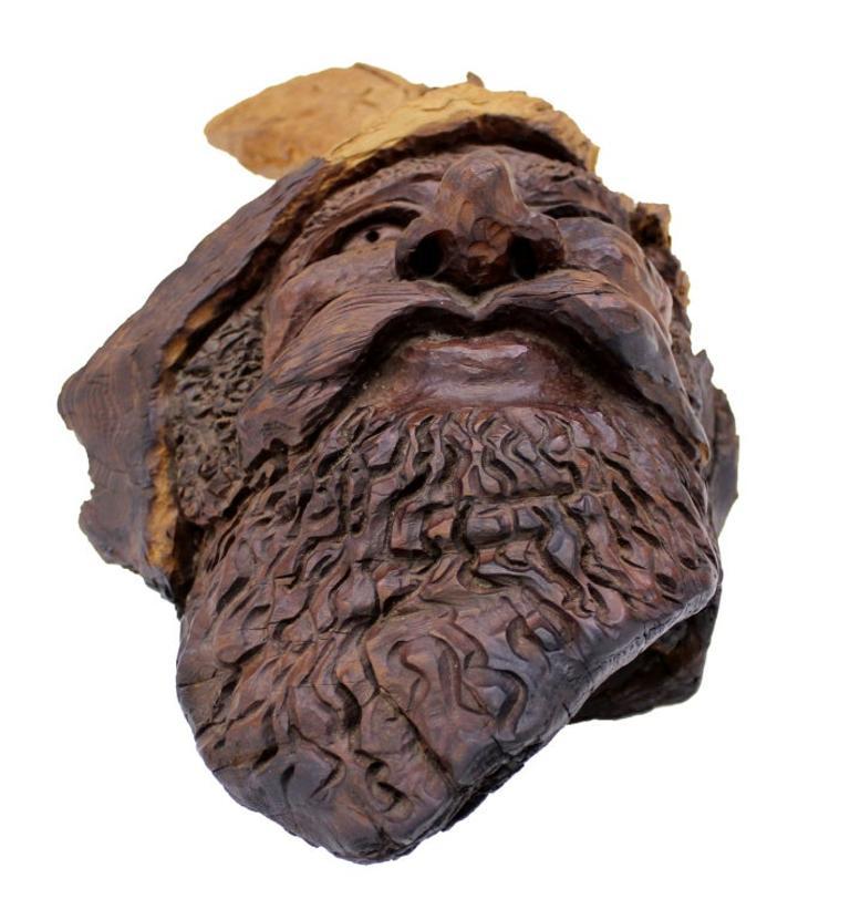 Feine detaillierte Wurzelholzschnitzerei eines Elfenbein- oder Gnome-Gesichts-Wandskulptur MINT (amerikanisch) im Angebot