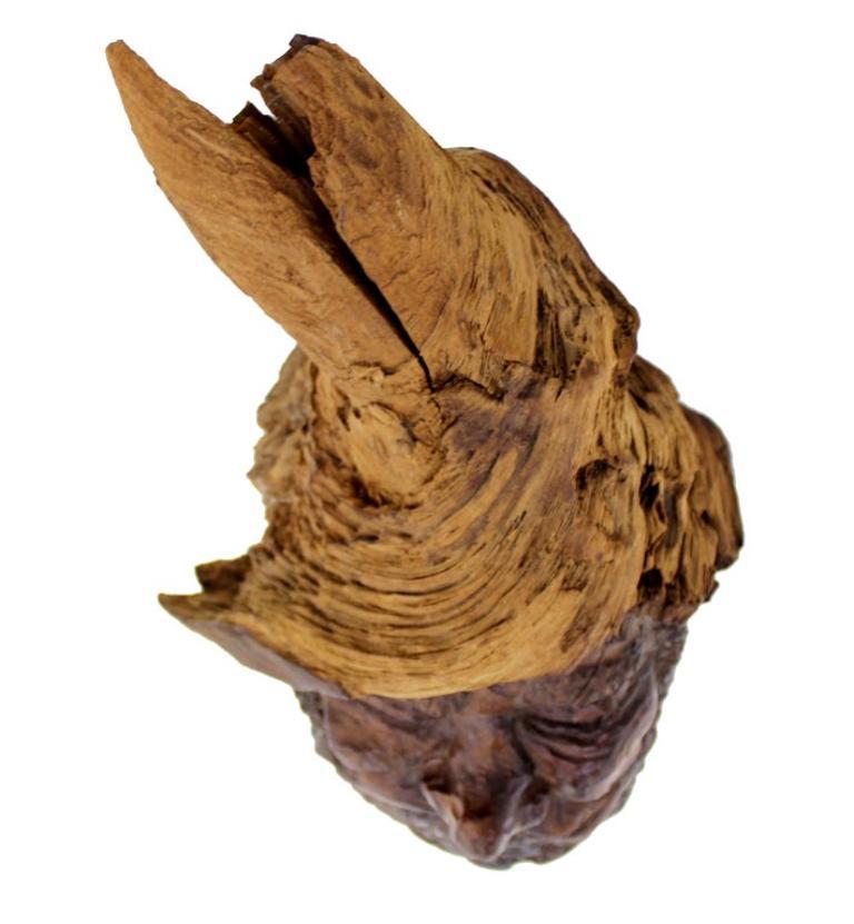 Carved Very Fine Detailed Burl Wood Carving of an Elf or Gnome Face Wall Sculpture MINT For Sale