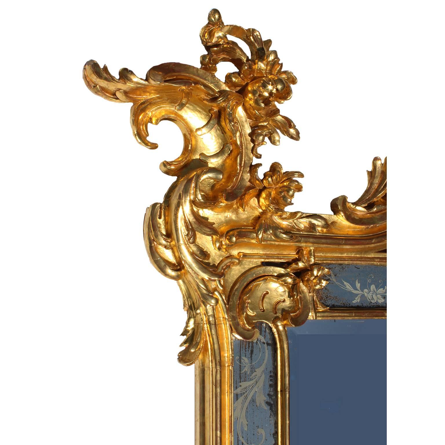XIXe siècle Très belle paire de miroirs de pilier de style rococo français du 19ème siècle en bois doré sculpté en vente