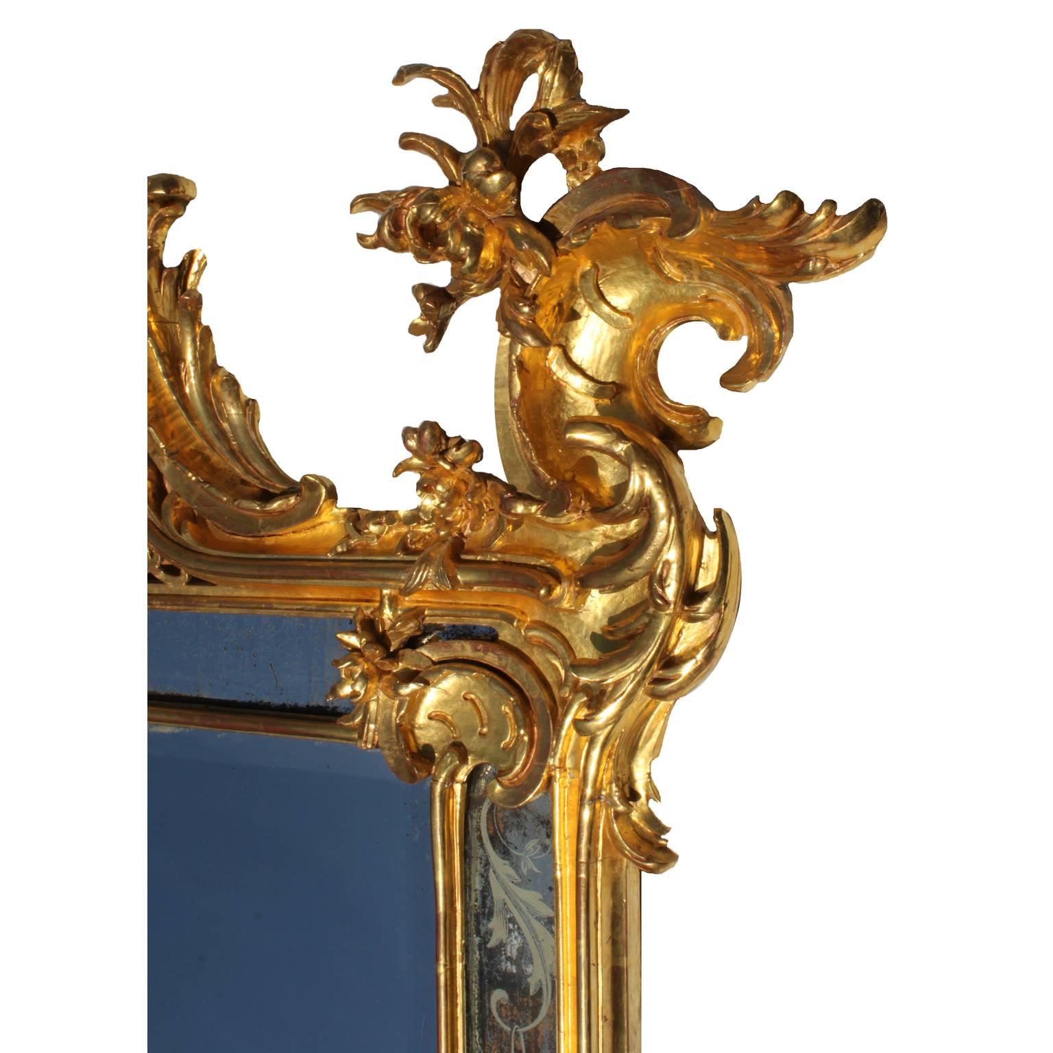 Très belle paire de miroirs de pilier de style rococo français du 19ème siècle en bois doré sculpté en vente 1