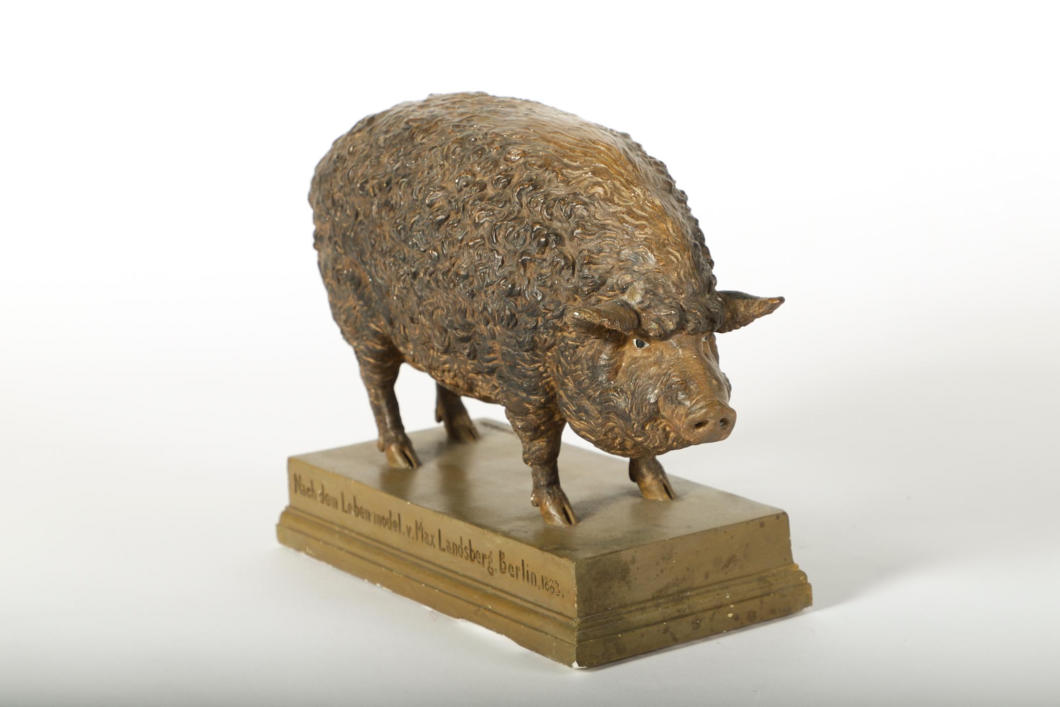 Berlin, Germany 1883, stamped: “Race-Typus des Mangalicza oder BaKonyer Schweines”, “1/4tel nat. Groesse