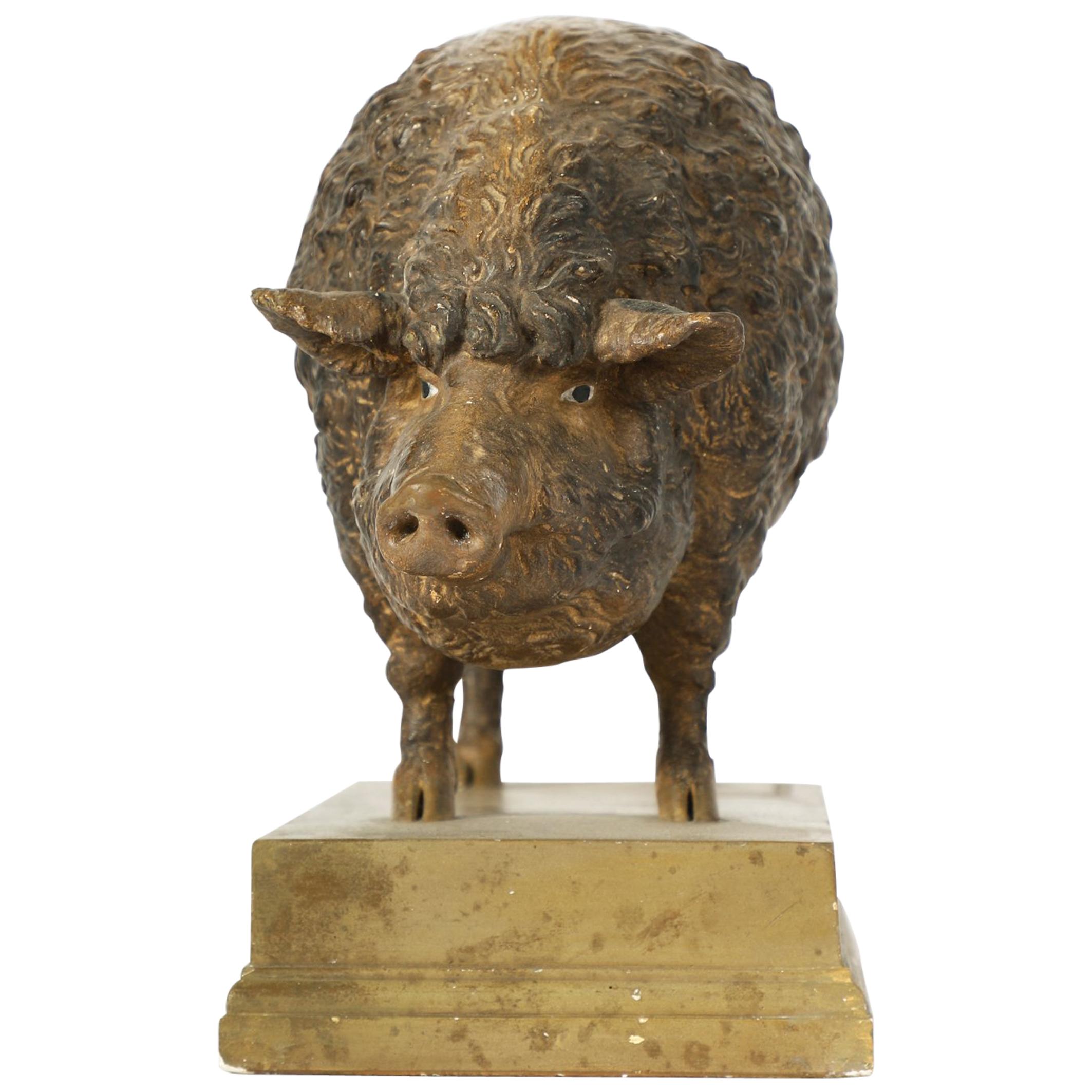 Very Fine Plaster Model of a Mangalicza Pig by Max Landsberg, Berlin, 1883 For Sale