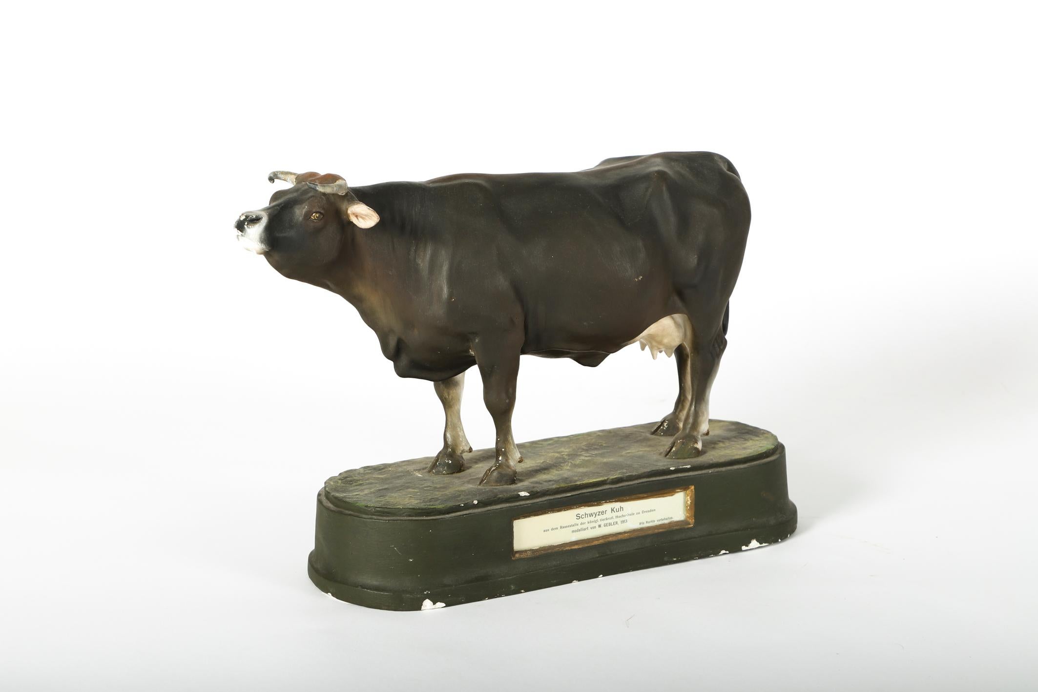 German Very Fine Plaster Model of a Swiss Cow by W. Gebler, 1913 For Sale