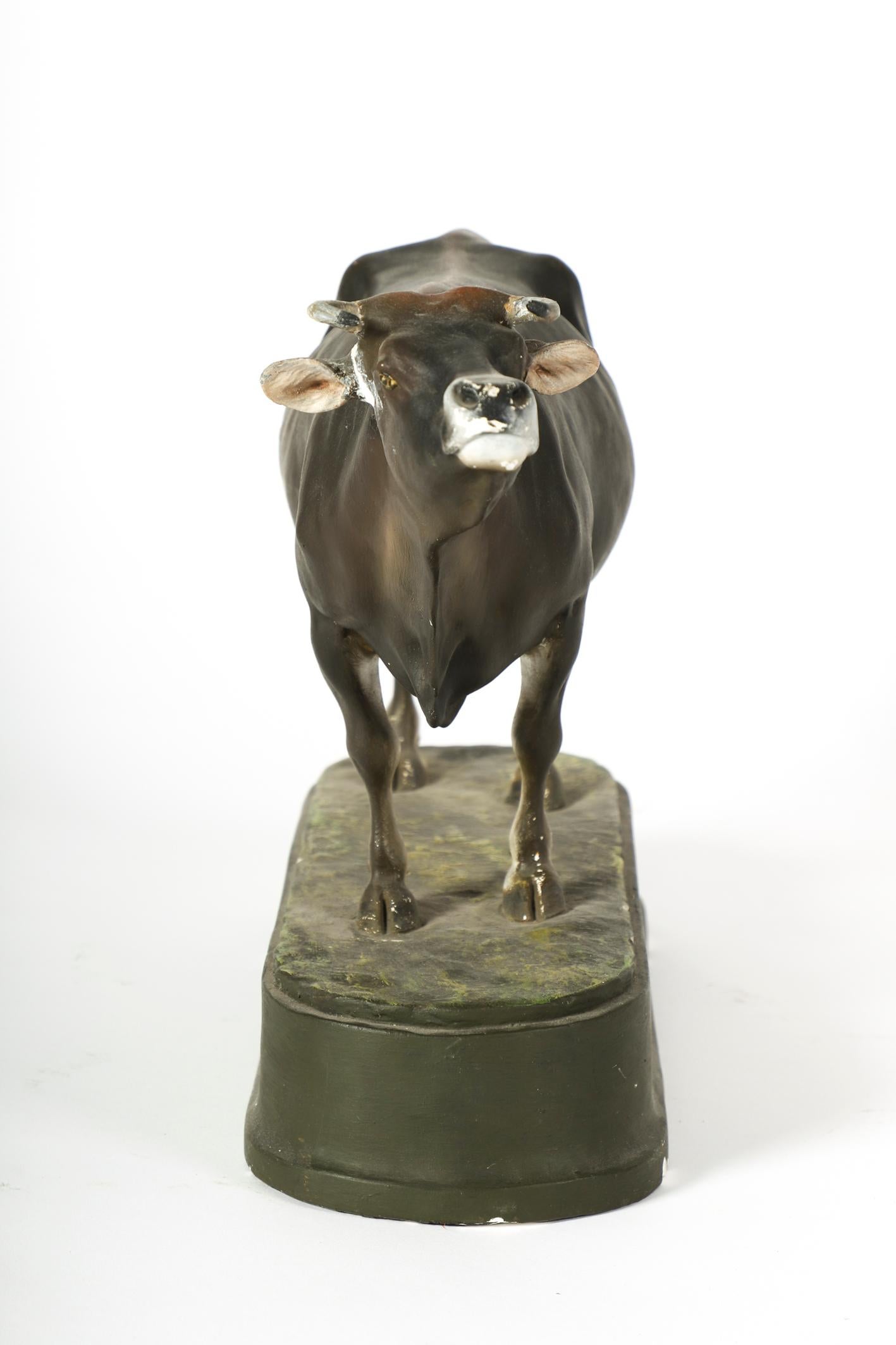Very Fine Plaster Model of a Swiss Cow by W. Gebler, 1913 In Good Condition For Sale In Vienna, Vienna