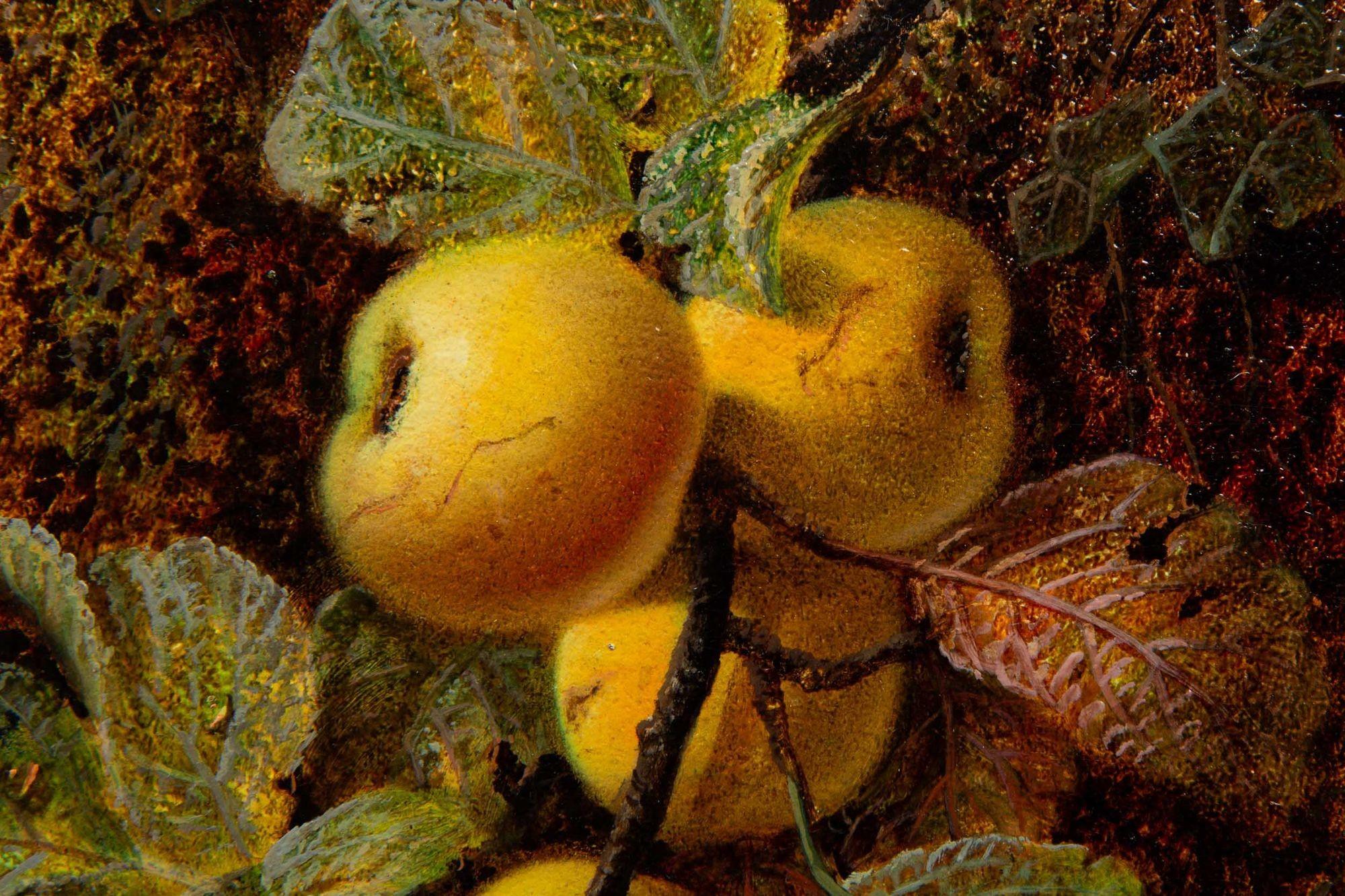 Very Fine Still-Life Antique Painting of Yellow Apples and Plum by Oliver Clare 1