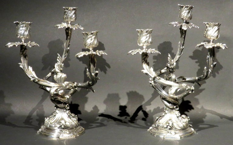 A very handsome pair of 19th century silvered bronze 3 branch candelabra in the style of Louis XV. Both showing a trio of richly cast foliate shaped branches fitted with detachable tulip shaped nozzles atop leafy bobeches, rising from