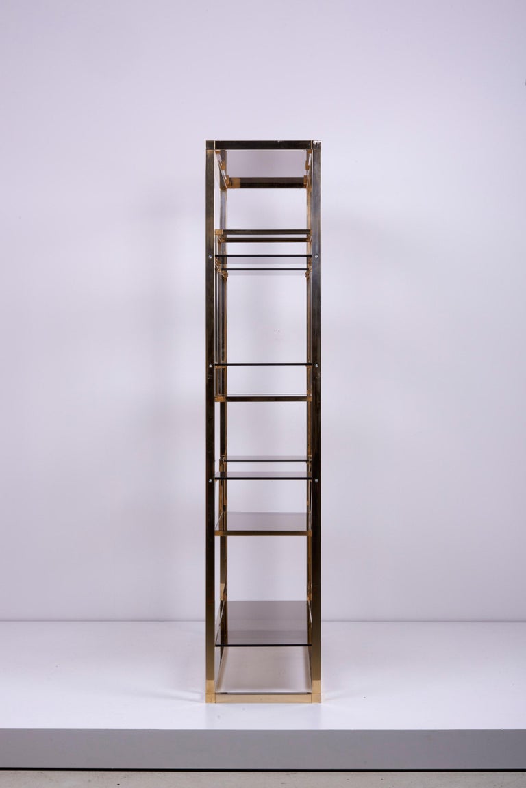 Very Huge Brass and Tinted Glass Bookshelf or Étagère by Romeo Rega For