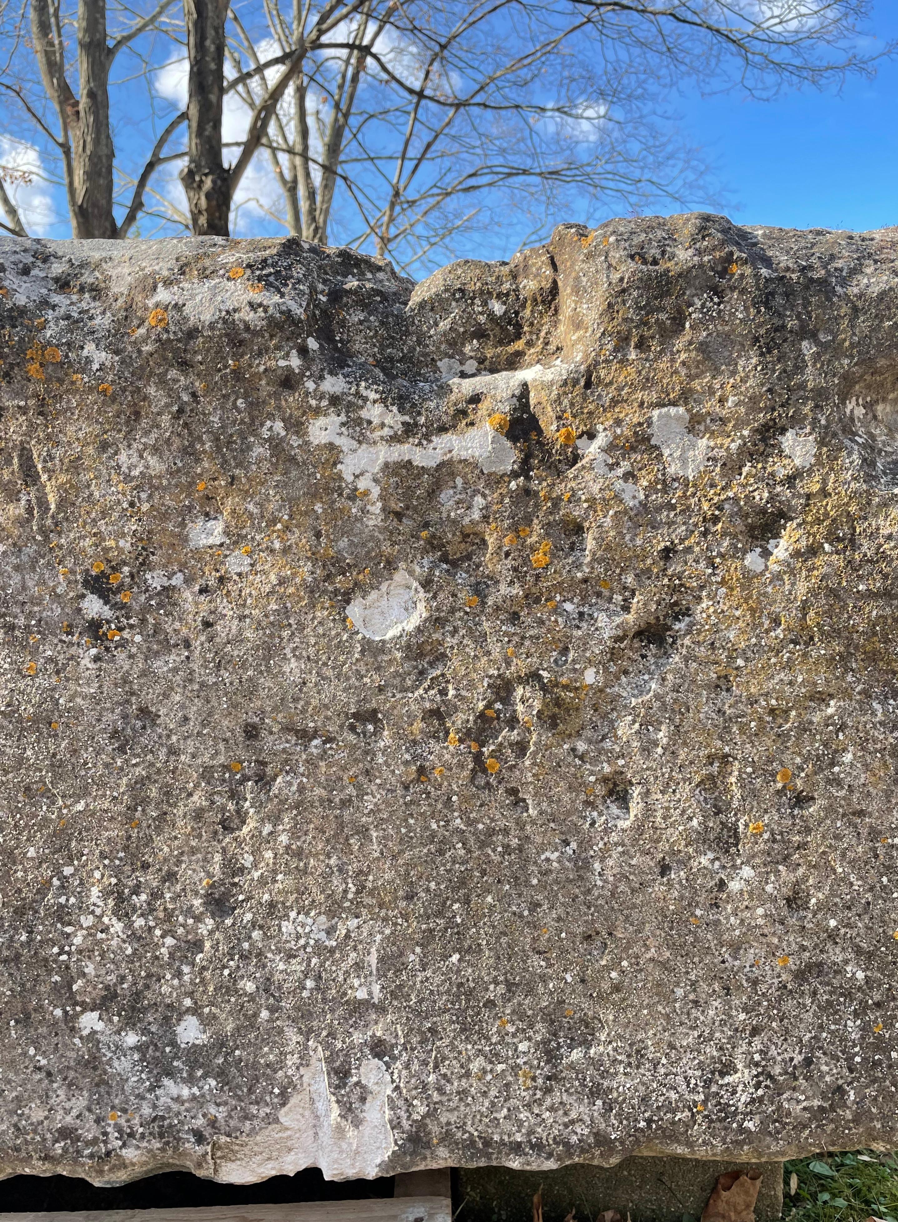 Very Large 18th C Hand-Carved French Limestone Trough 4