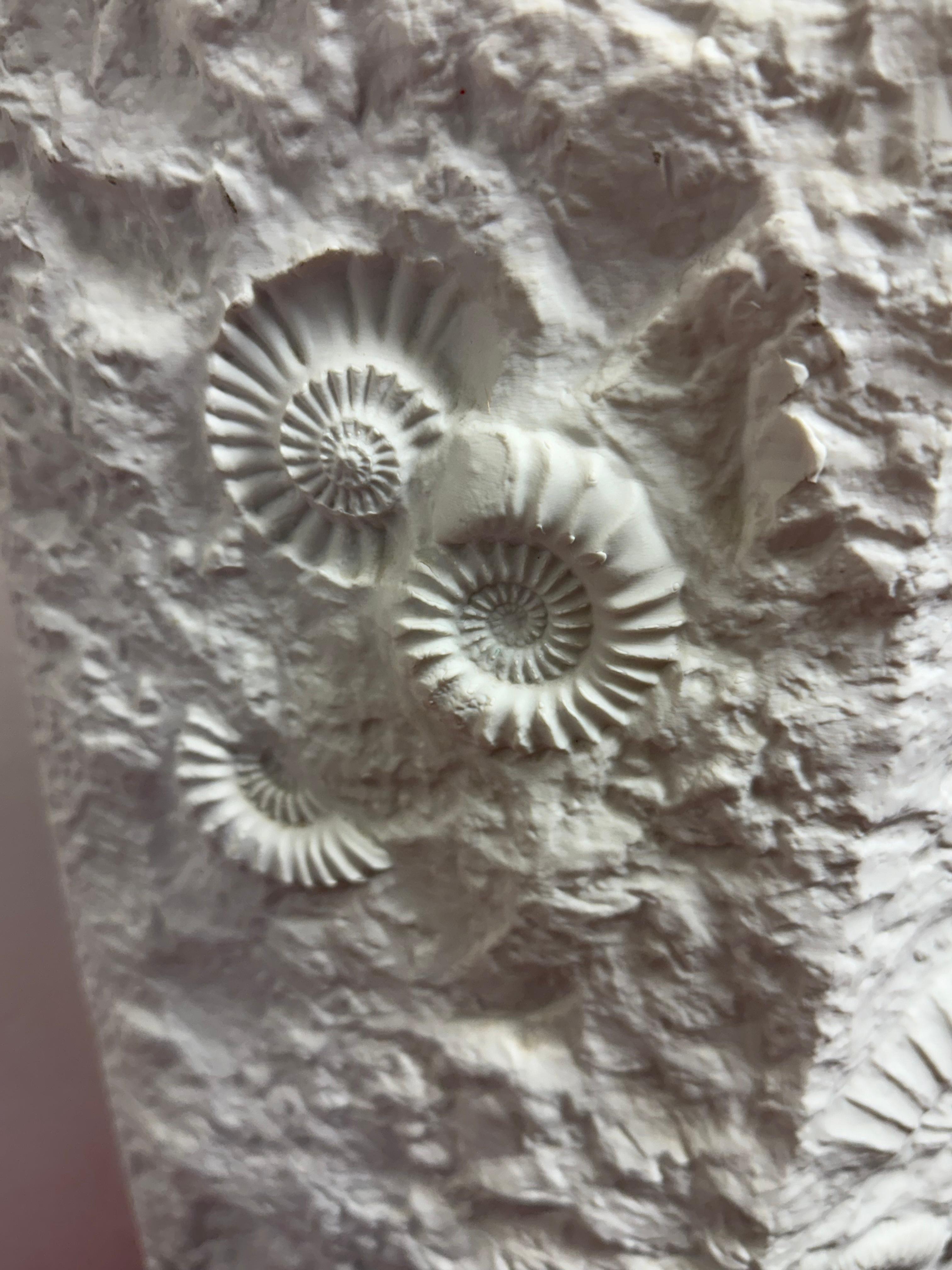 Very Large 1970s German AK Kaiser No 129 Matt-White Bisque Fossil Relief Vase 4