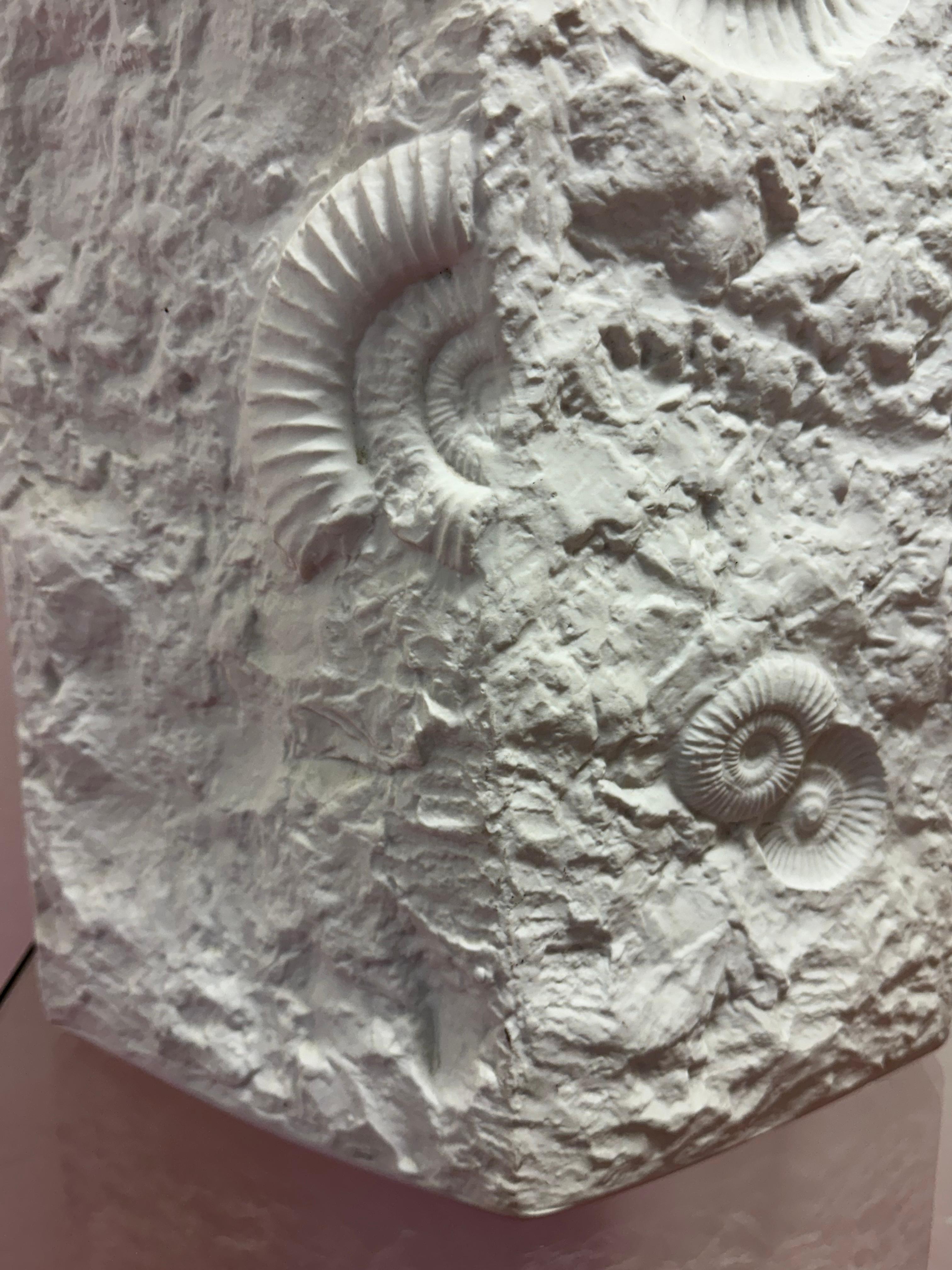 Vaso a rilievo fossile in bisquit tedesco AK Kaiser No 129 Matt-White molto grande degli anni '70 in vendita 5
