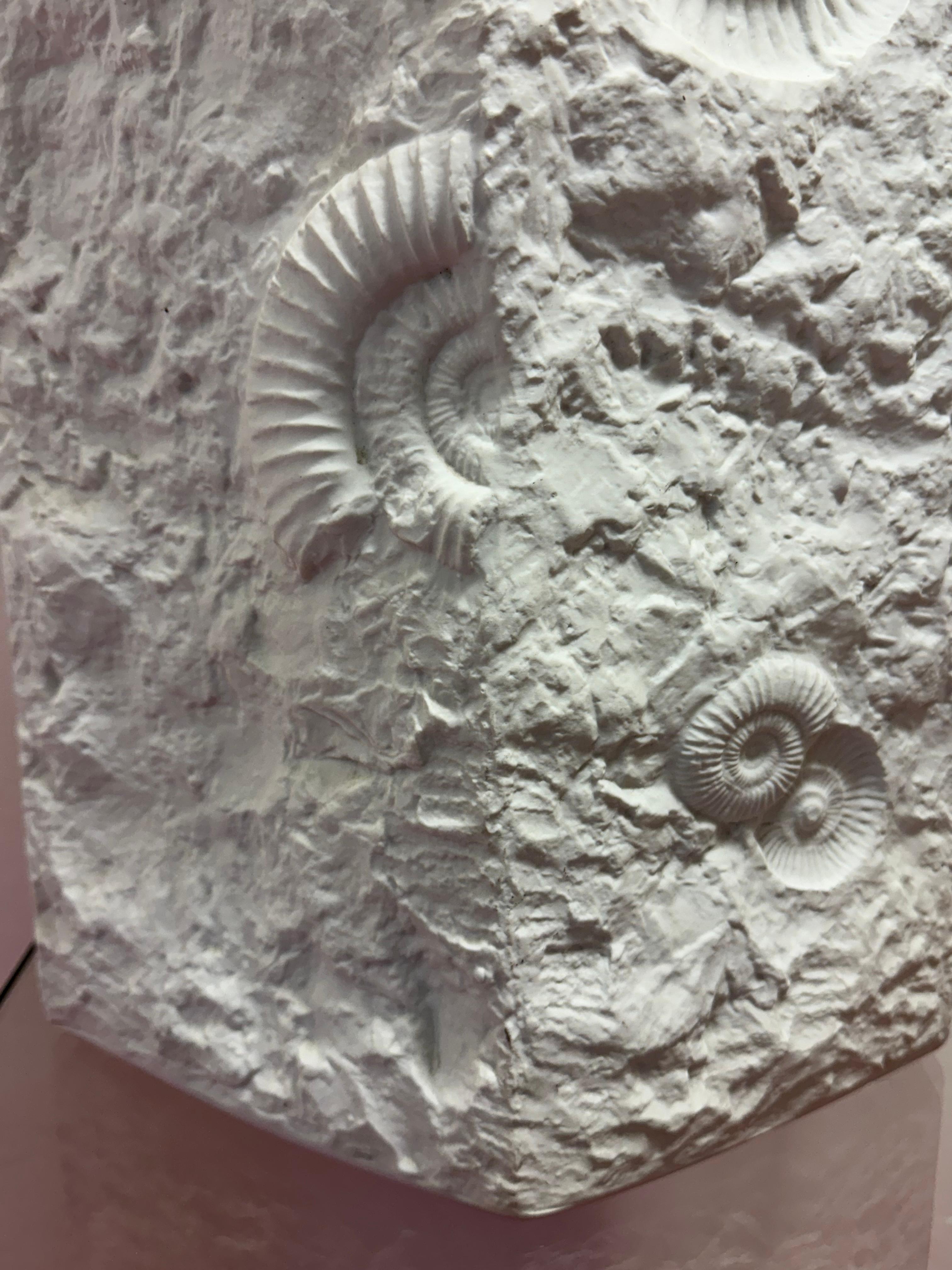 Very Large 1970s German AK Kaiser No 129 Matt-White Bisque Fossil Relief Vase 6