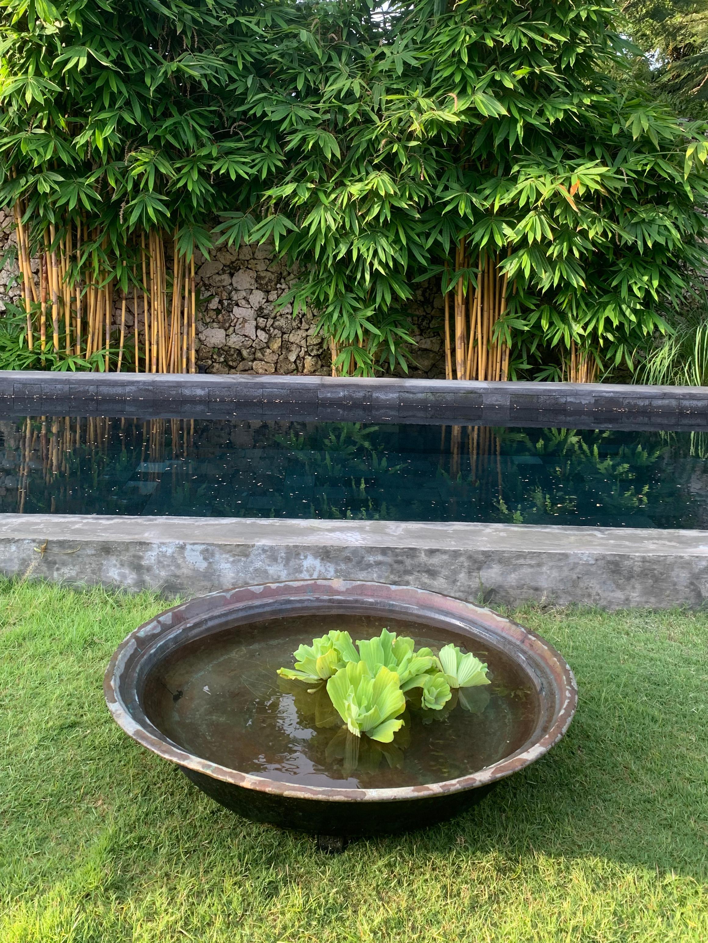 This hand-hewn bronze bowl was once used to keep batik textile dyes on the island of Java. A wonderfully sculptural object with a weathered faded texture. In the modern day this makes for a wonderfully spacious planter or garden water bowl.