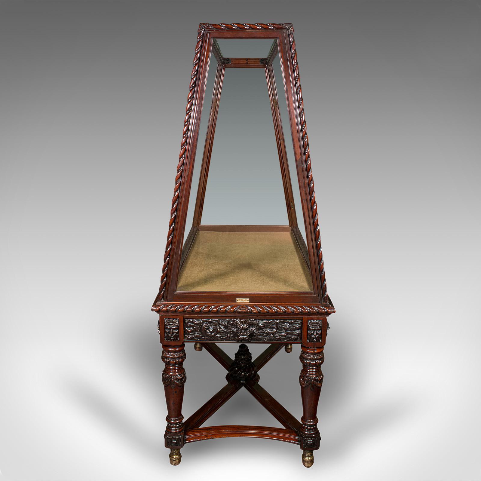 Victorien tardif Très grand meuble de rangement ancien de musée, anglais, noyer, Holland and Sons, victorien en vente