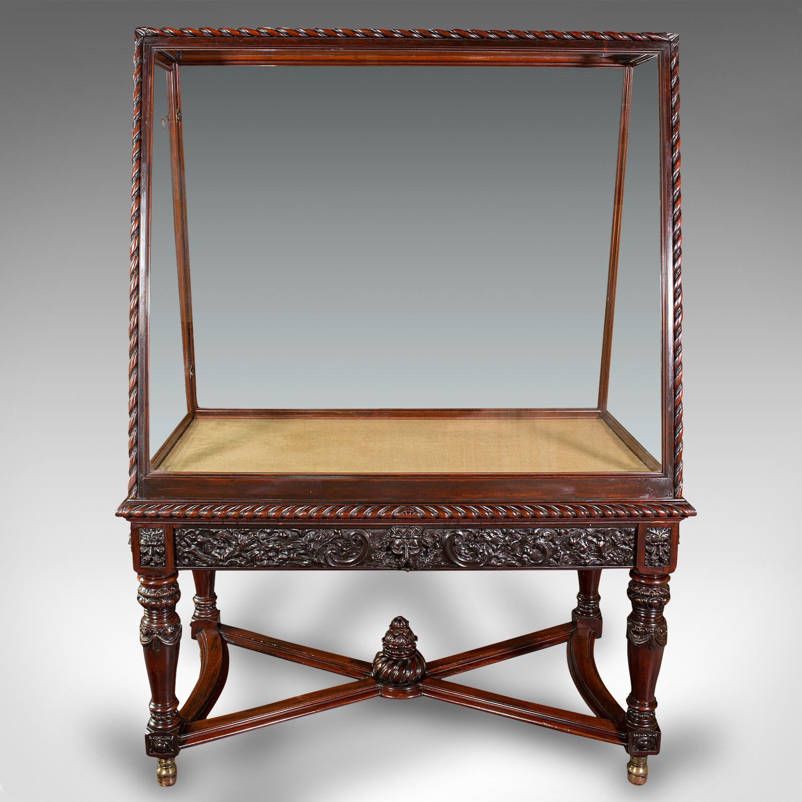 XIXe siècle Très grand meuble de rangement ancien de musée, anglais, noyer, Holland and Sons, victorien en vente