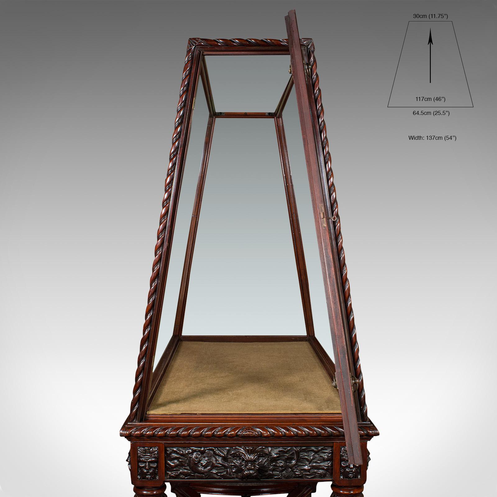 Verre Très grand meuble de rangement ancien de musée, anglais, noyer, Holland and Sons, victorien en vente