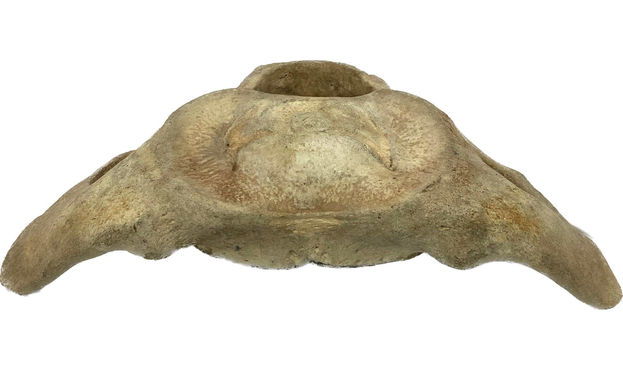 Very Large Antique Whale Vertebrae #11 In Good Condition For Sale In Bradenton, FL