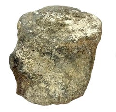 Very Large Antique Whale Vertebrae #7