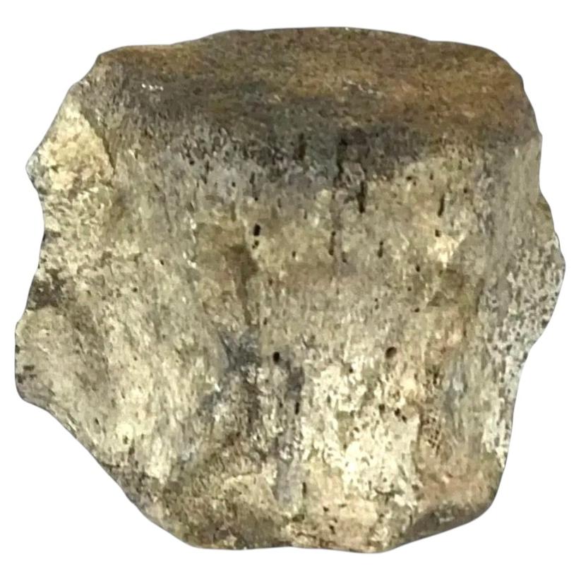 Very Large Antique Whale Vertebrae #7