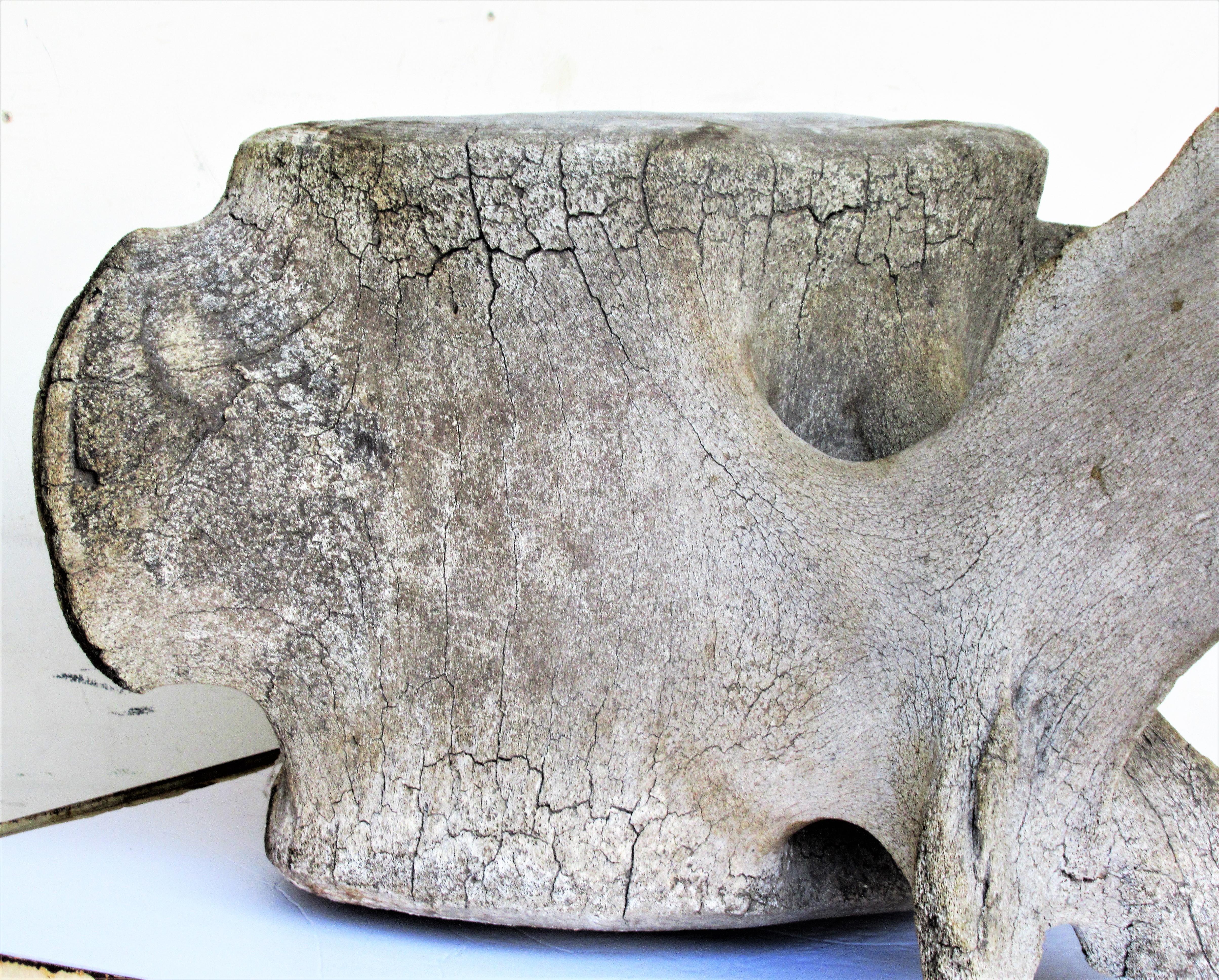 Very big antique whale vertebrae bone in beautiful naturally aged old surface. Measures 30 inches wide x 24 inches deep x 17 1/2 inches high. Spectacular old natural history item. Look at all and read condition report in comment section.