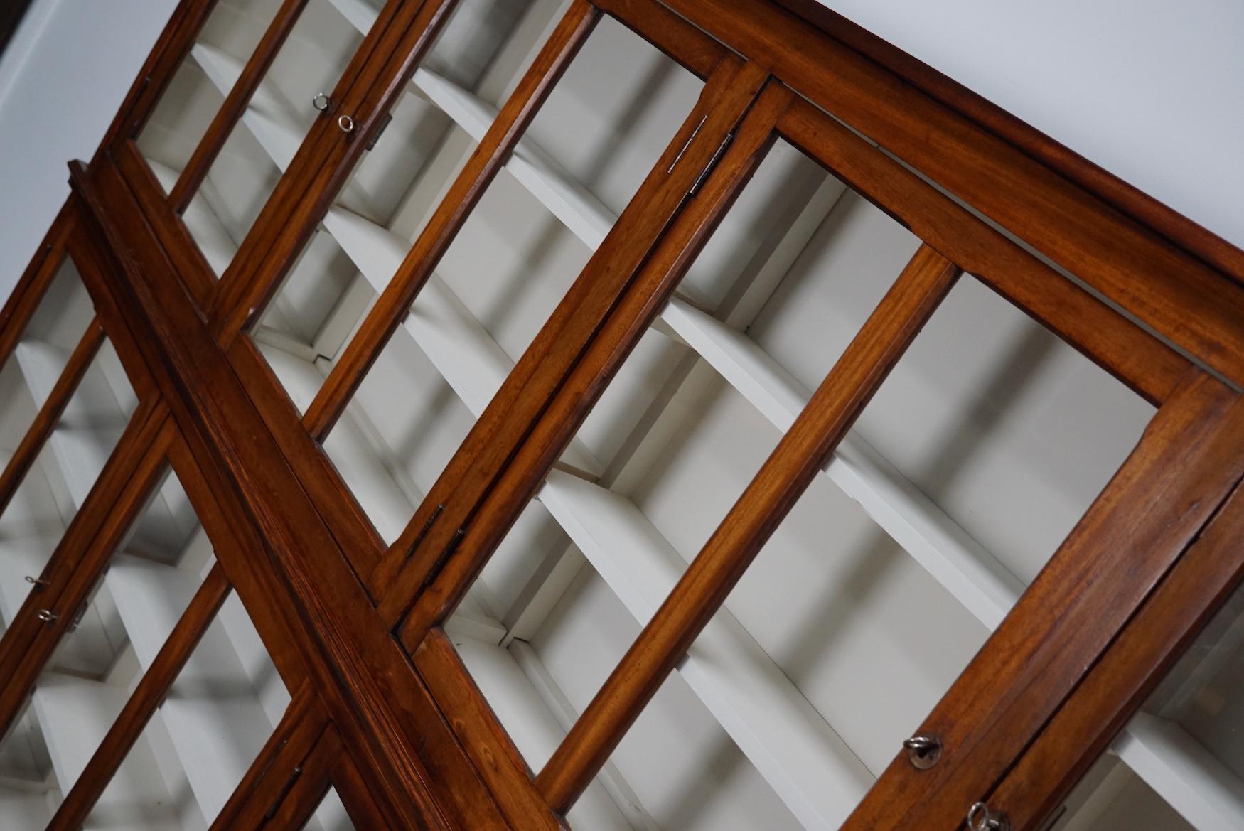 Very Large British Mahogany Museum Cabinet or Shop Vitrine, 1930s 3