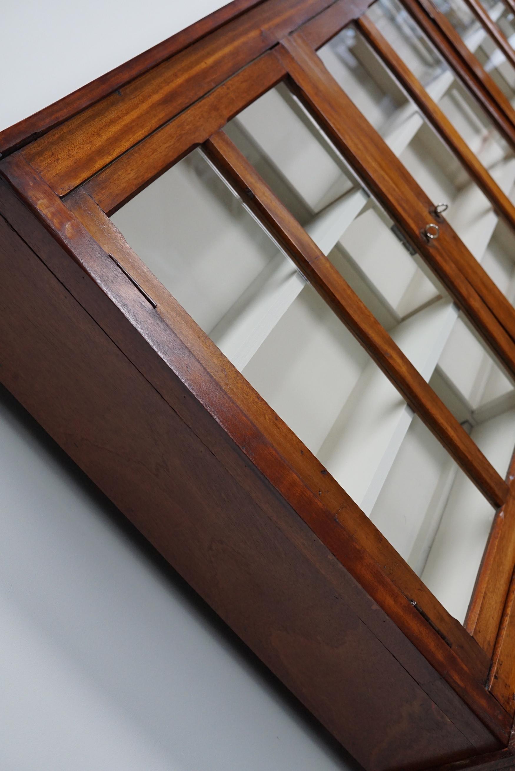 Very Large British Mahogany Museum Cabinet or Shop Vitrine, 1930s 7