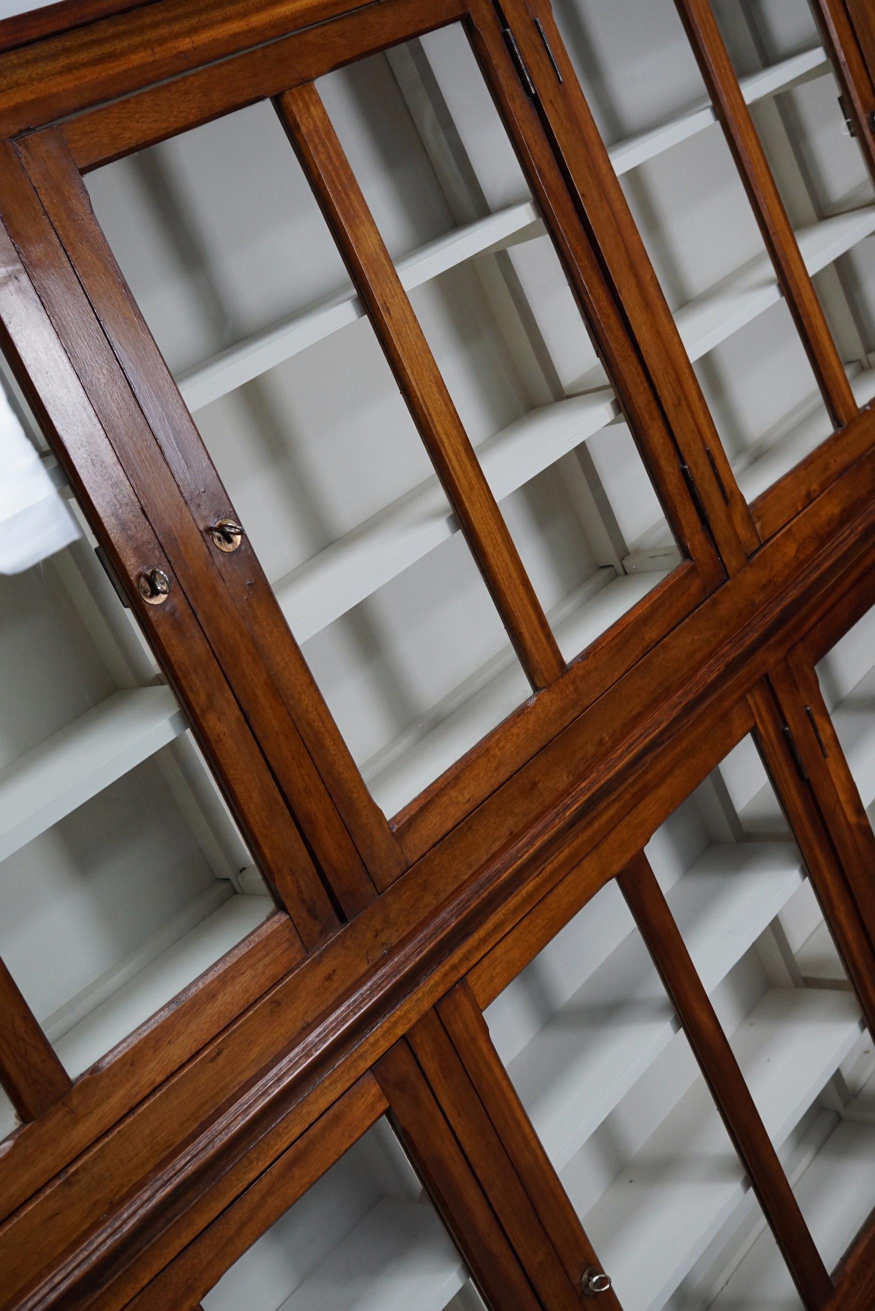 Very Large British Mahogany Museum Cabinet or Shop Vitrine, 1930s 10