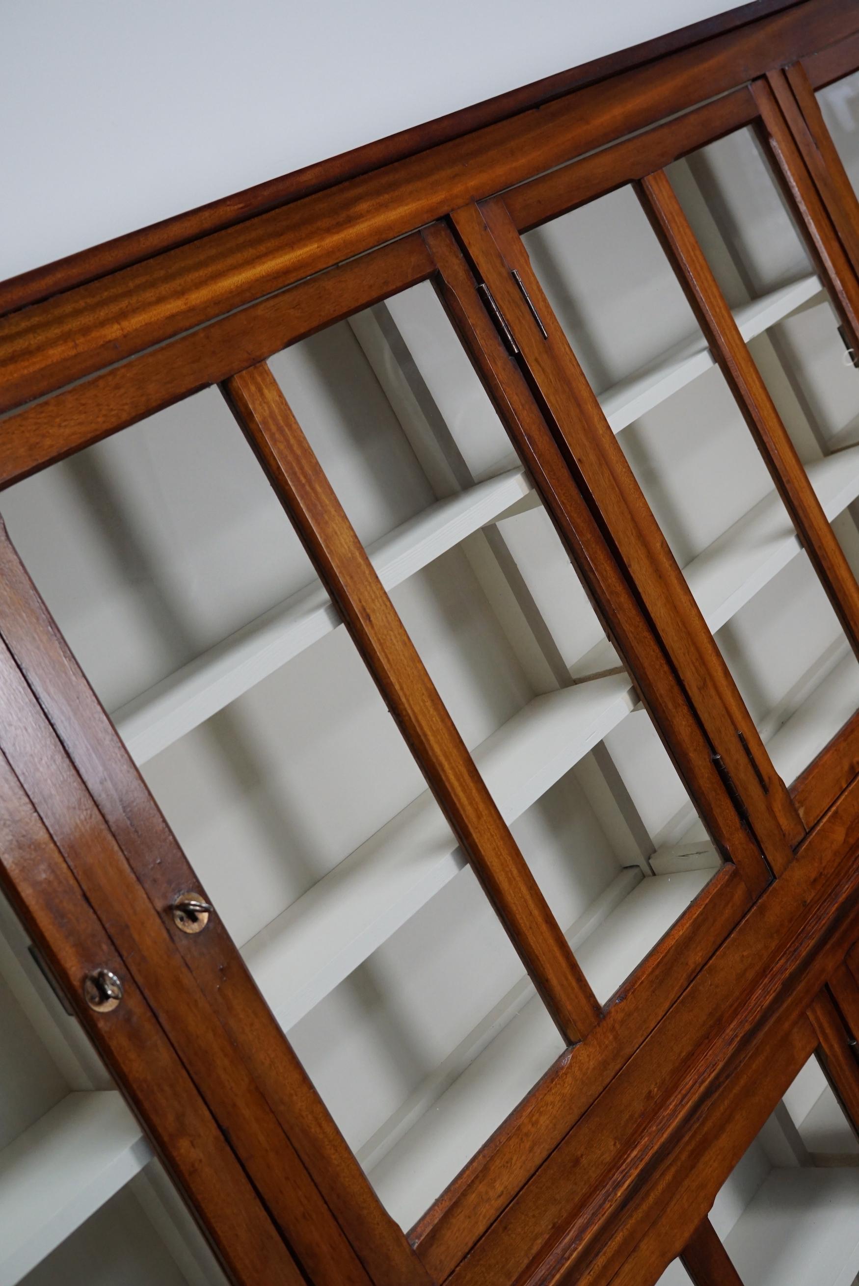 Very Large British Mahogany Museum Cabinet or Shop Vitrine, 1930s 11