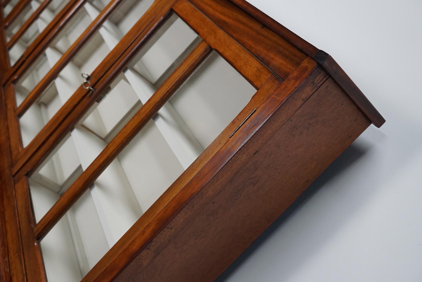 Very Large British Mahogany Museum Cabinet or Shop Vitrine, 1930s In Good Condition In Nijmegen, NL