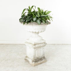 Very Large Early 20th Century French Cast Stone Medicis Urn Planter on Pedestal