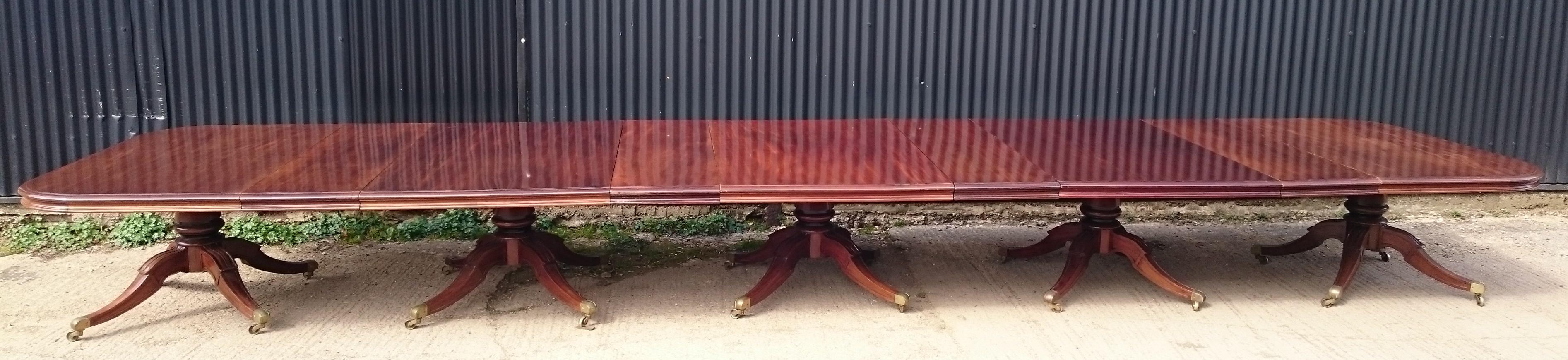 Very large and important Regency mahogany five pedestal antique dining table. This dining table is an impressive scale, standing on five pedestals each with four splay legs. The edge has double thickness molding all the way around, including on the