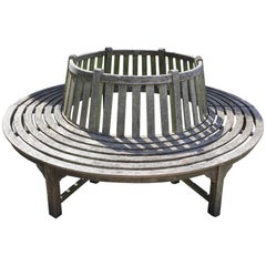 Very Large English Circular Teak Tree Bench