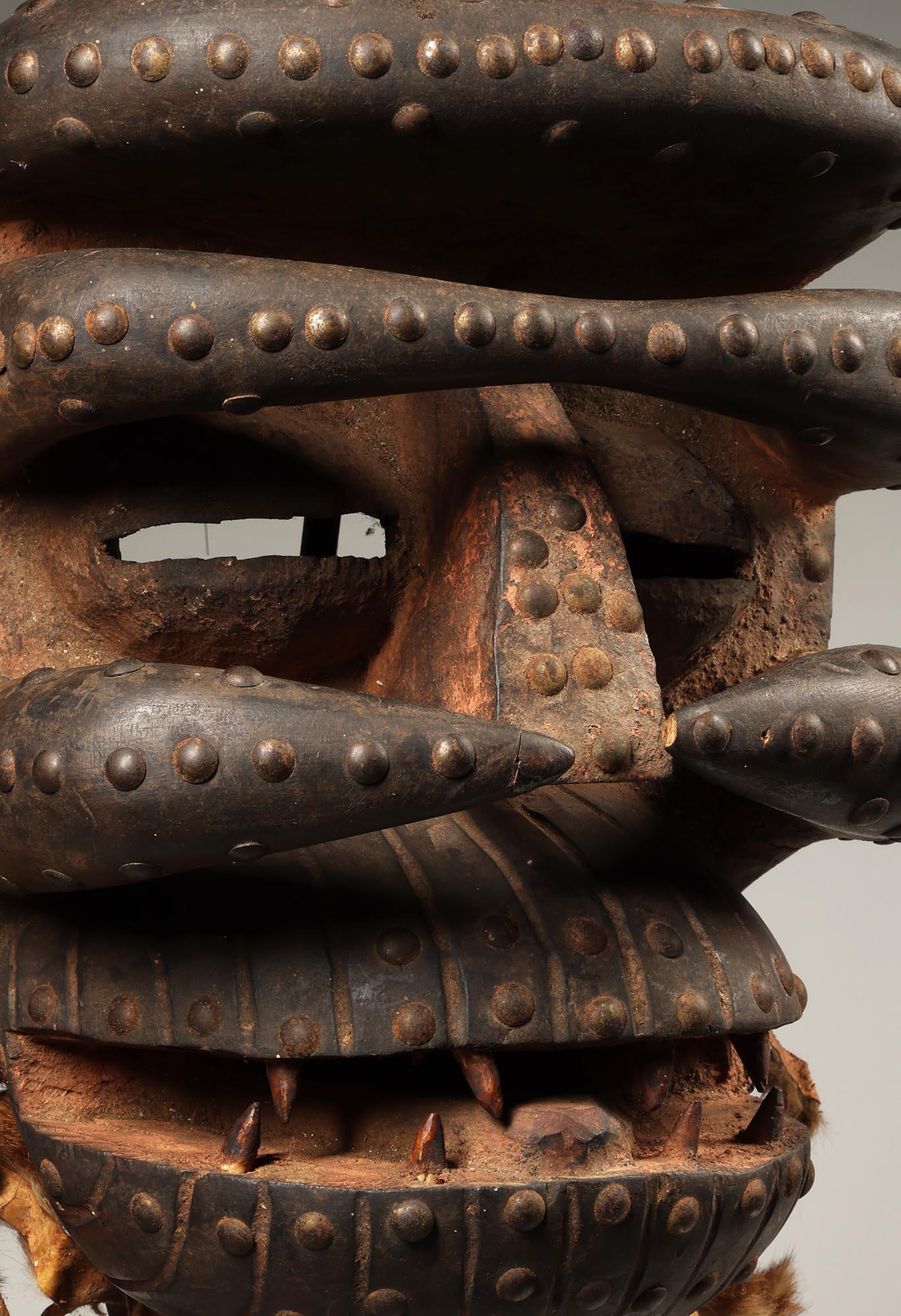 Très grand masque Dan Guere féroce avec défenses Côte d'Ivoire Afrique ex crainte en vente 4