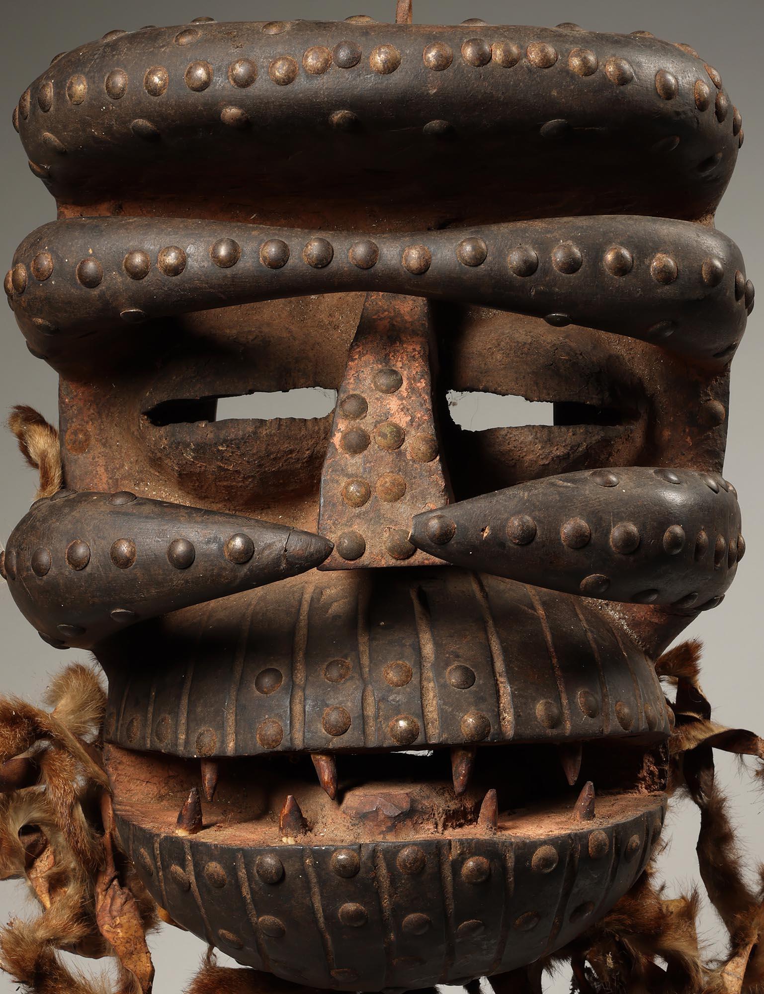 Tribal Très grand masque Dan Guere féroce avec défenses Côte d'Ivoire Afrique ex crainte en vente