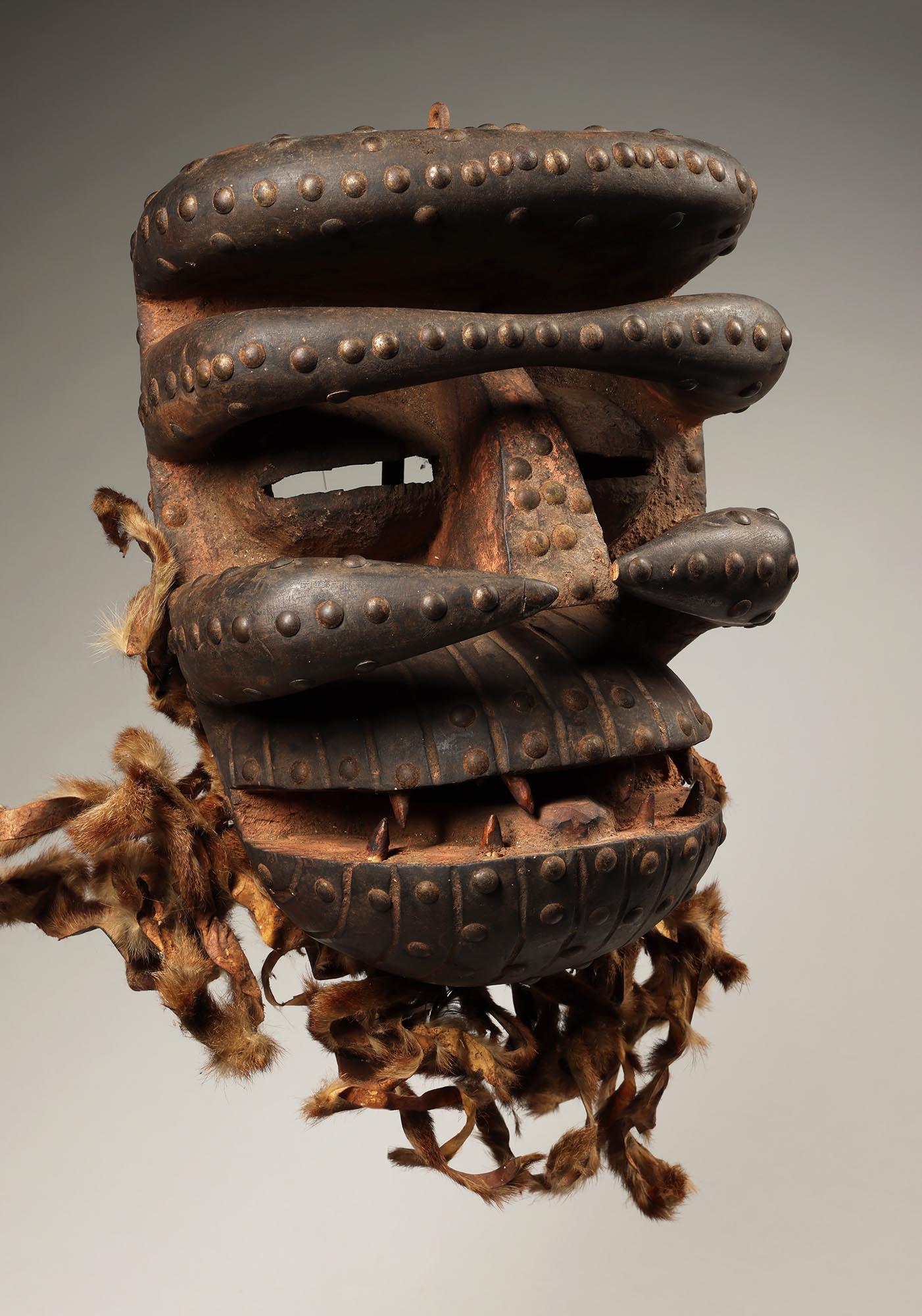 20ième siècle Très grand masque Dan Guere féroce avec défenses Côte d'Ivoire Afrique ex crainte en vente