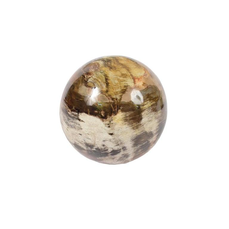 Very rare fossil wood carved like a sphere, very large: diameter cm 23.5 - inches 9.25, weight kg 20 - stones 3.14-pounds 44. It is silicified fossil wood with variegated colors ranging from gray to red. The formation of fossil wood dates back to a