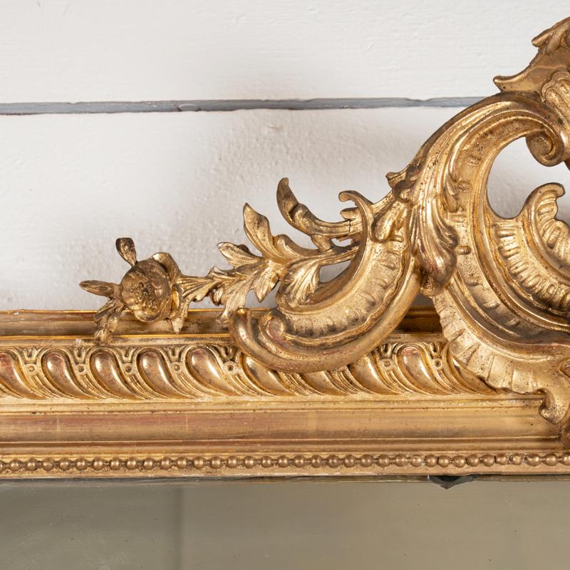 Dorato Specchio francese intagliato molto grande in stile Regency con piccolo frontone in vendita