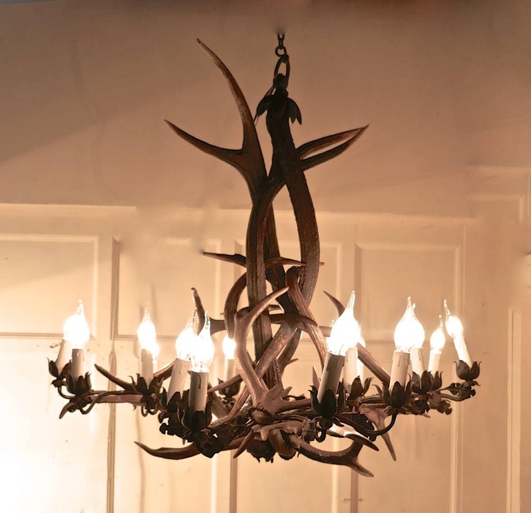 Very Large German 19th Century Black Forrest Stag Antler ...