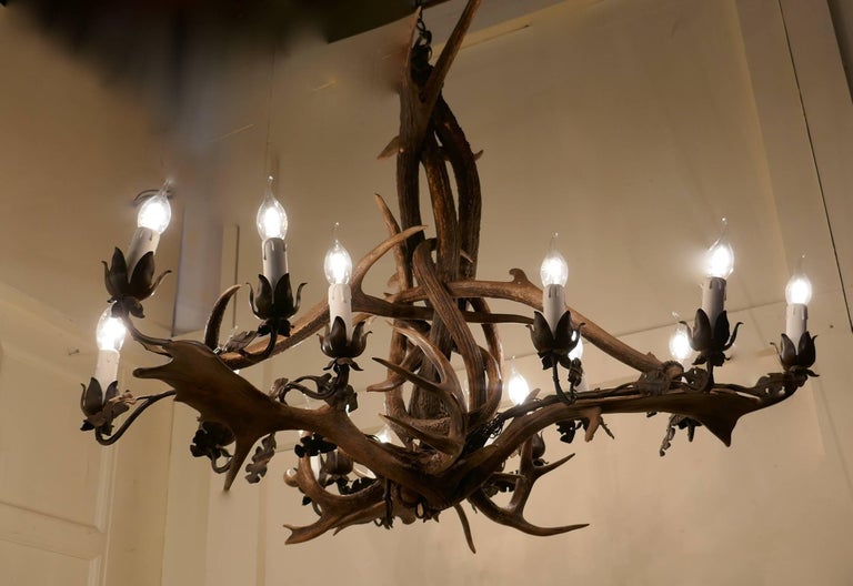 Very Large German 19th Century Black Forrest Stag Antler ...