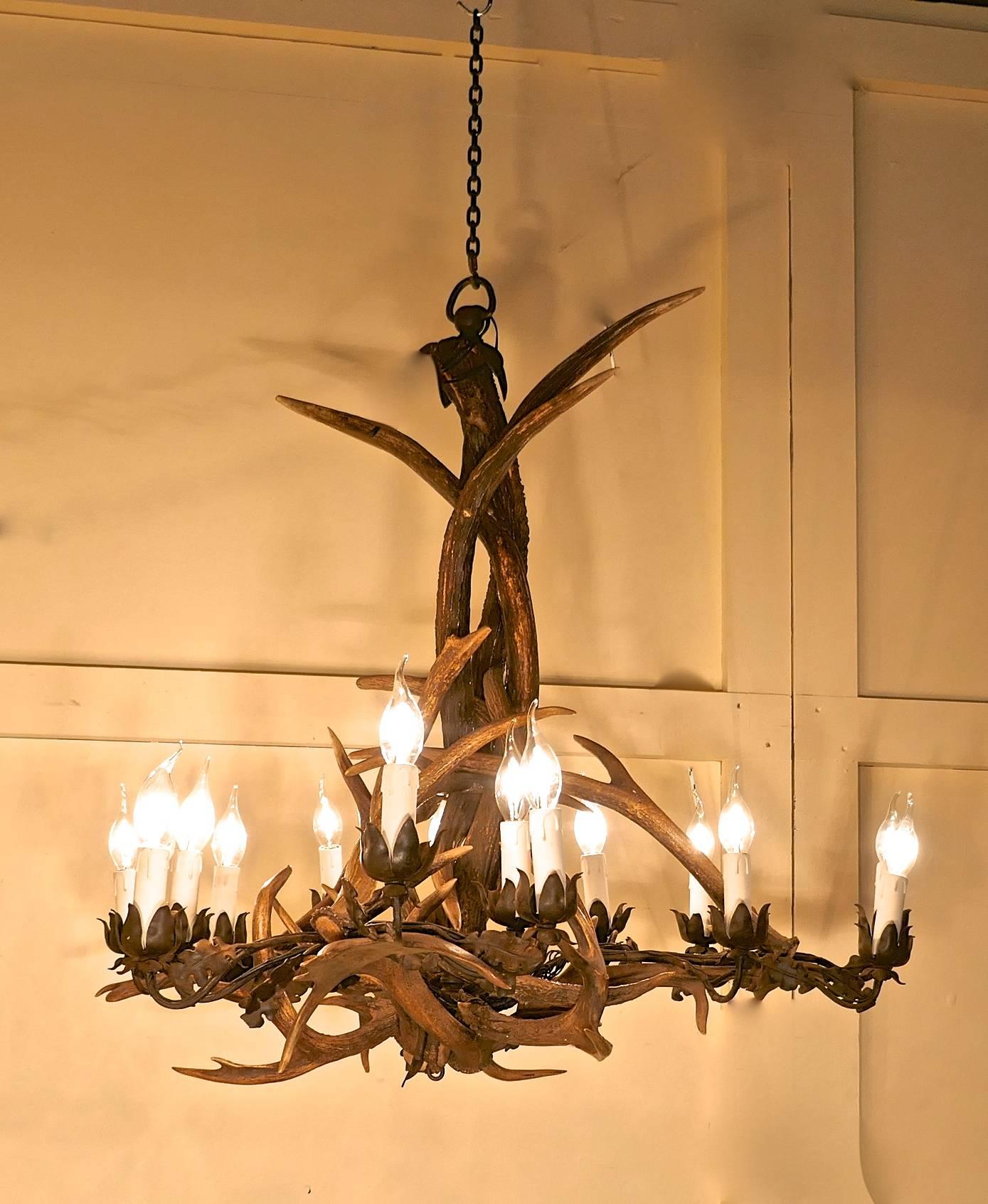 Very large German 19th century Black Forest stag antler hanging chandelier
 
This is an imposing and unusual piece, it is larger than most.

The chandelier was made in the second half of the 19th century, the sconces and cups made in iron, they
