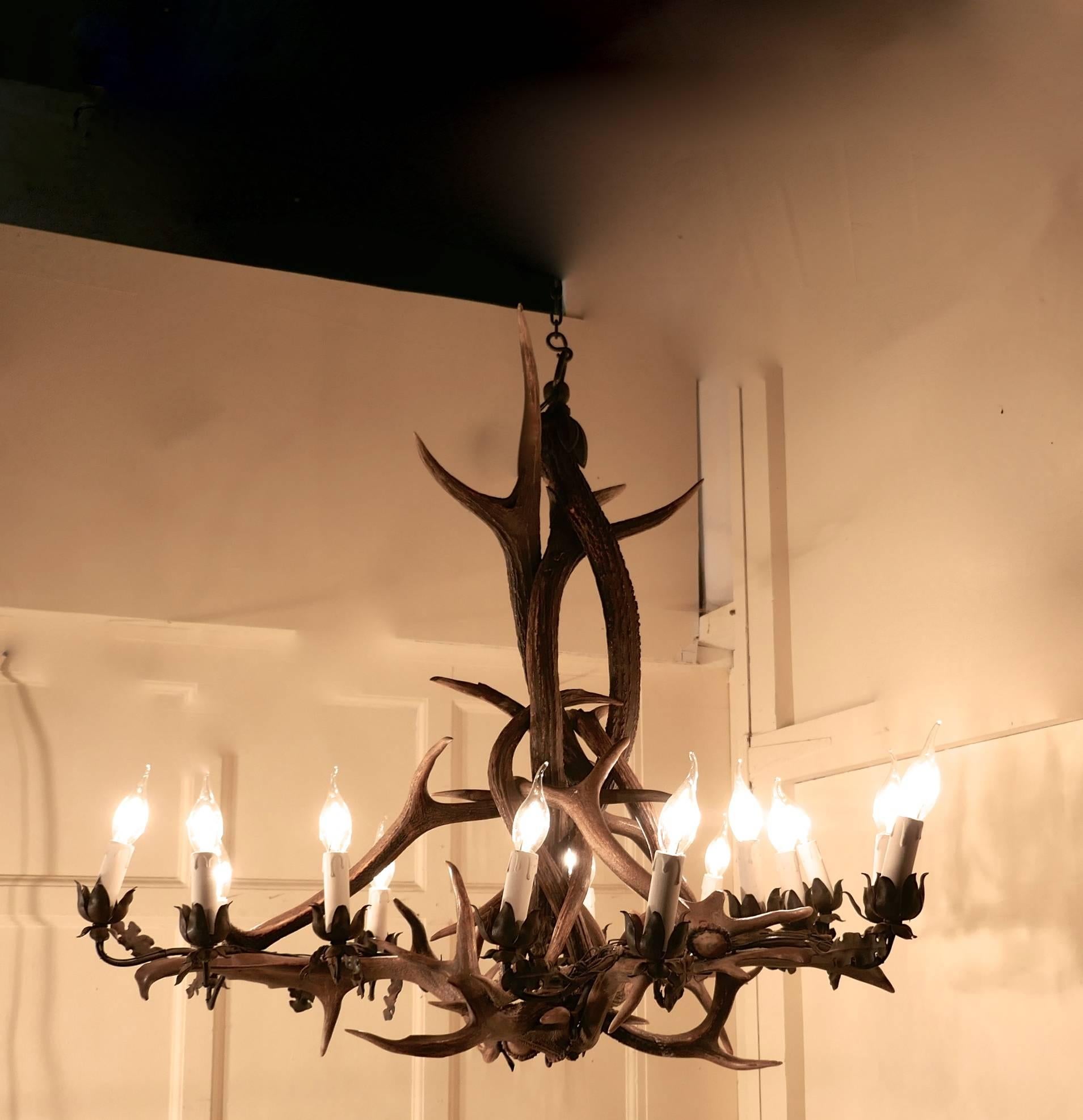 Very Large German 19th Century Black Forrest Stag Antler Hanging Chandelier 1