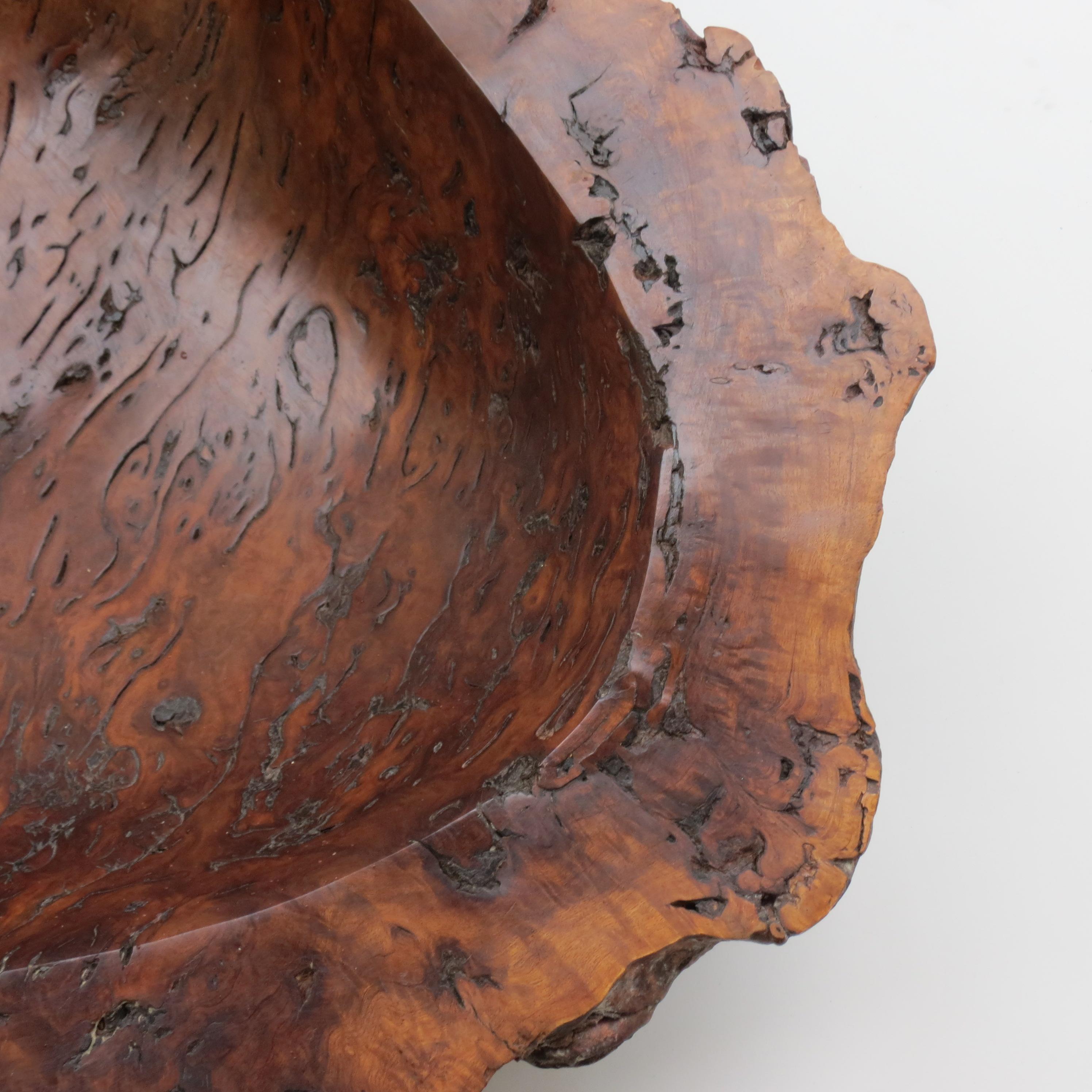 Organic Modern Very Large Hand Produced Bowl in River Red Gum Burr, Australian