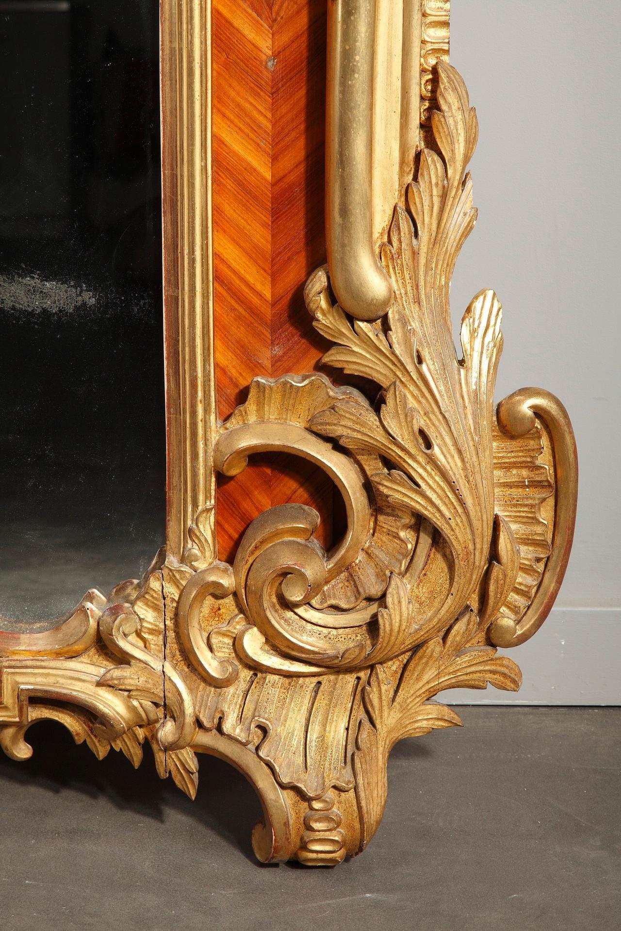 Very Large Louis XV-Style Revival Giltwood Mirror 6