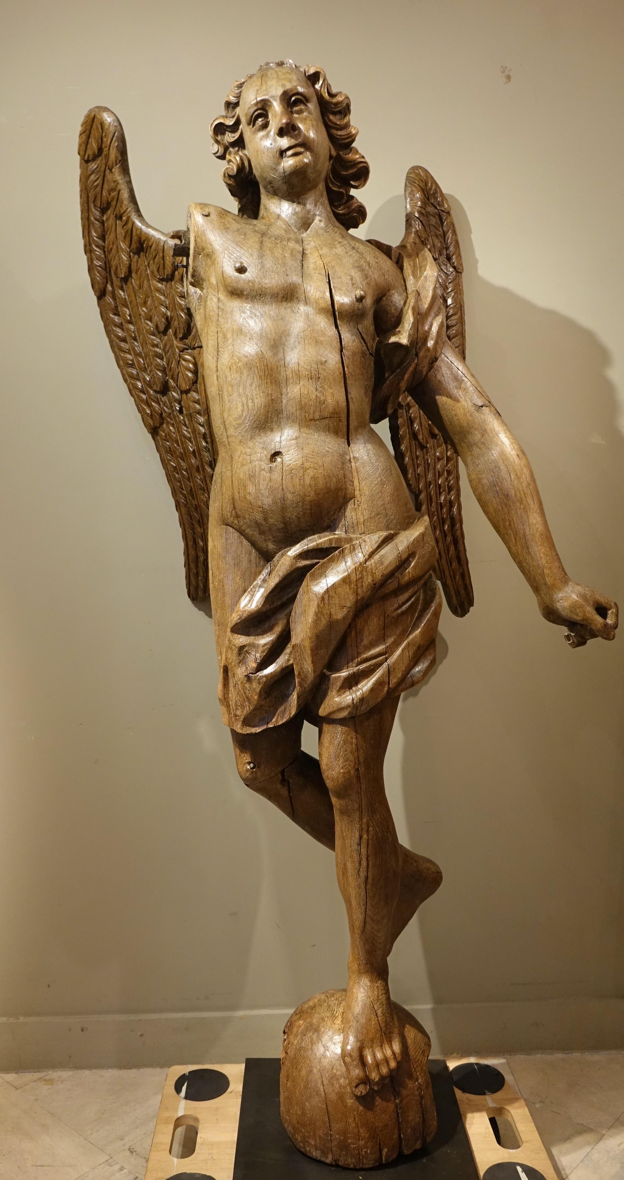 Very Large Oak Winged Angel, 17th century 3