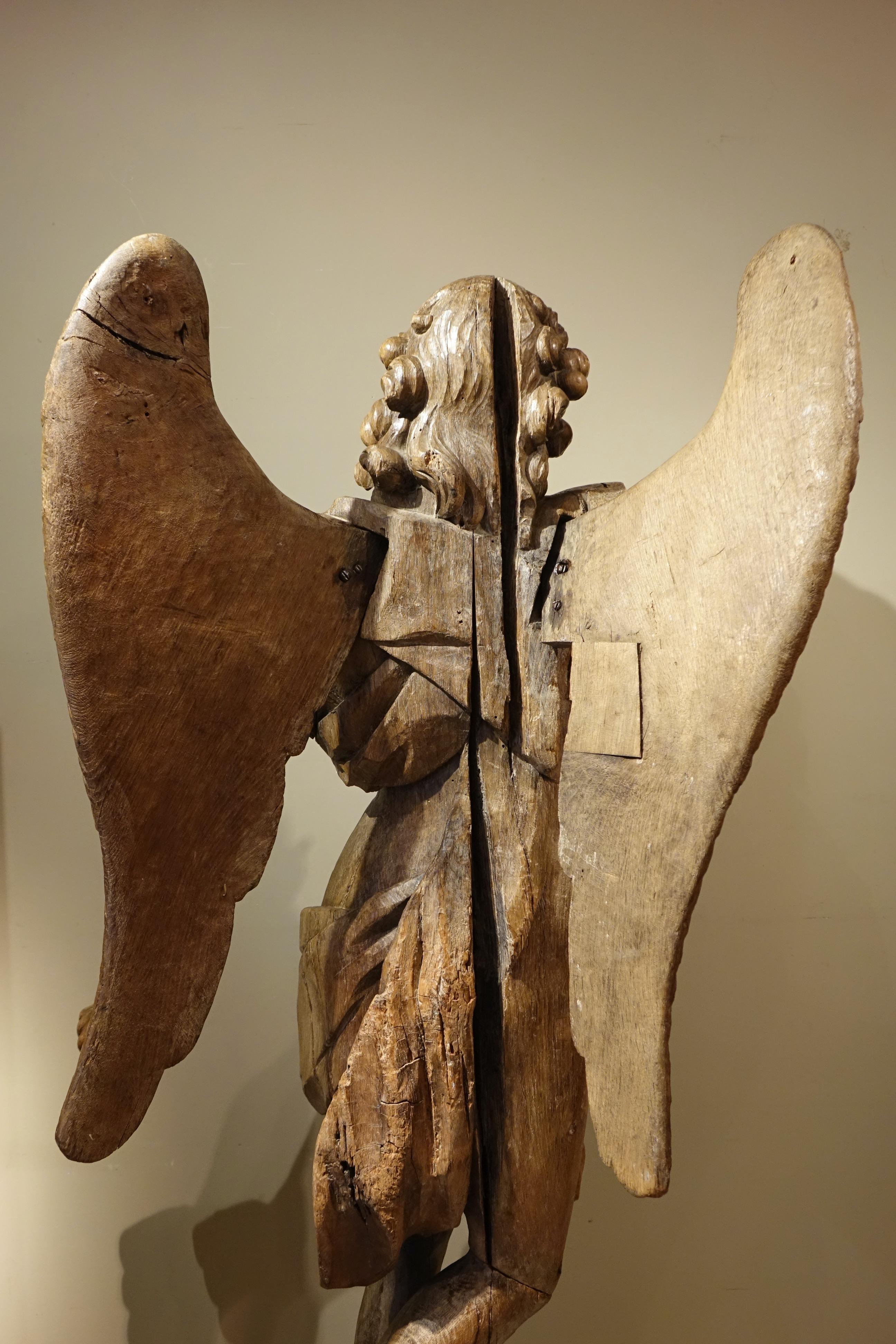 Very Large Oak Winged Angel, 17th century 4