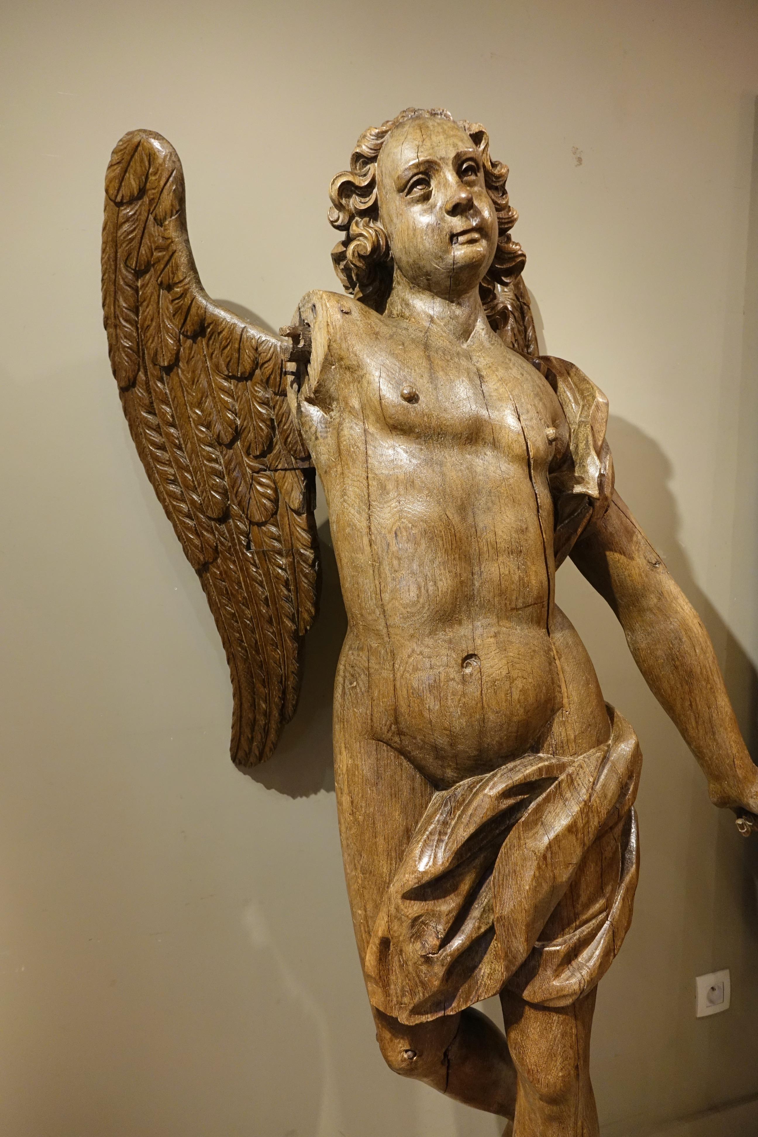 European Very Large Oak Winged Angel, 17th century