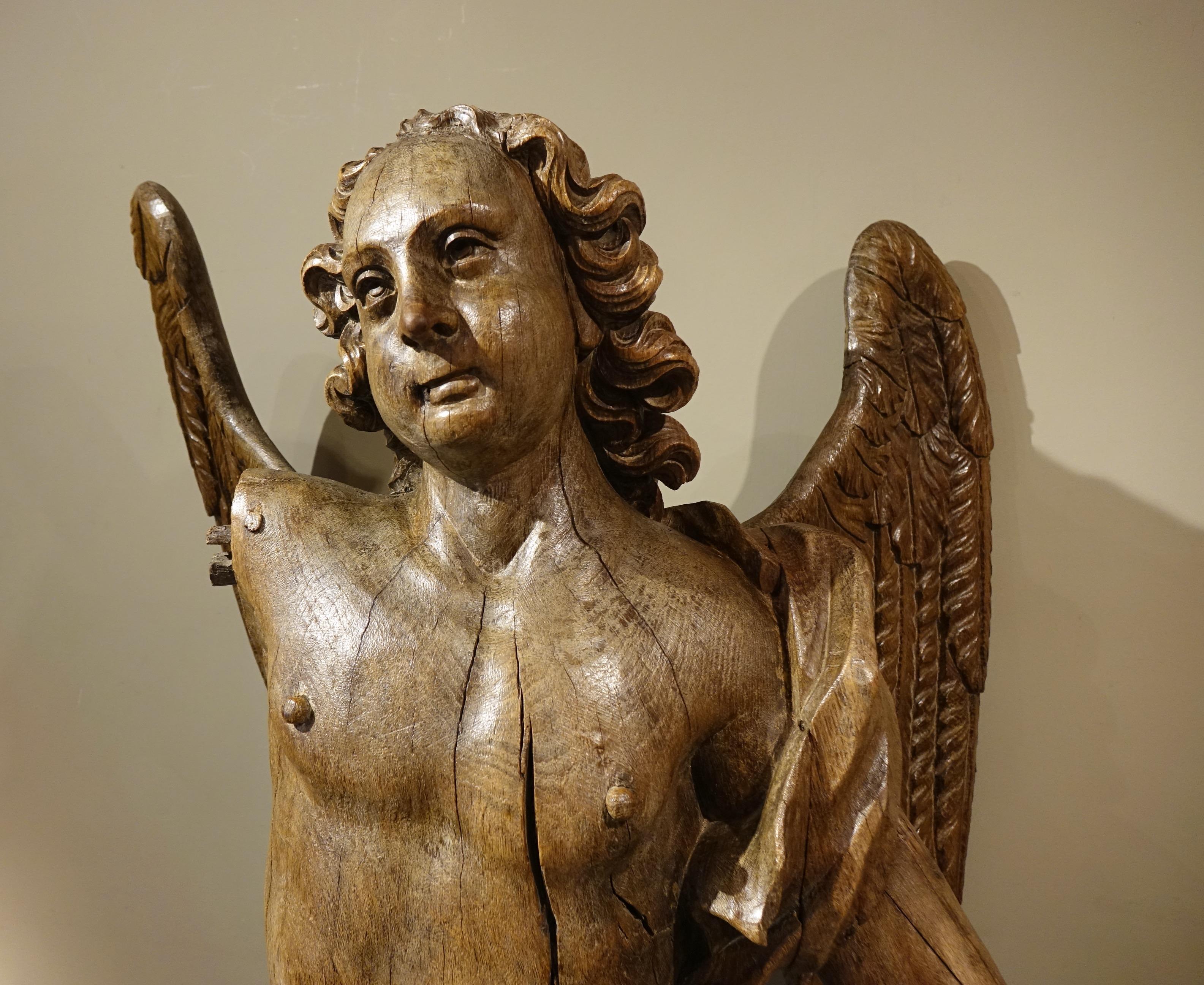 Carved Very Large Oak Winged Angel, 17th century