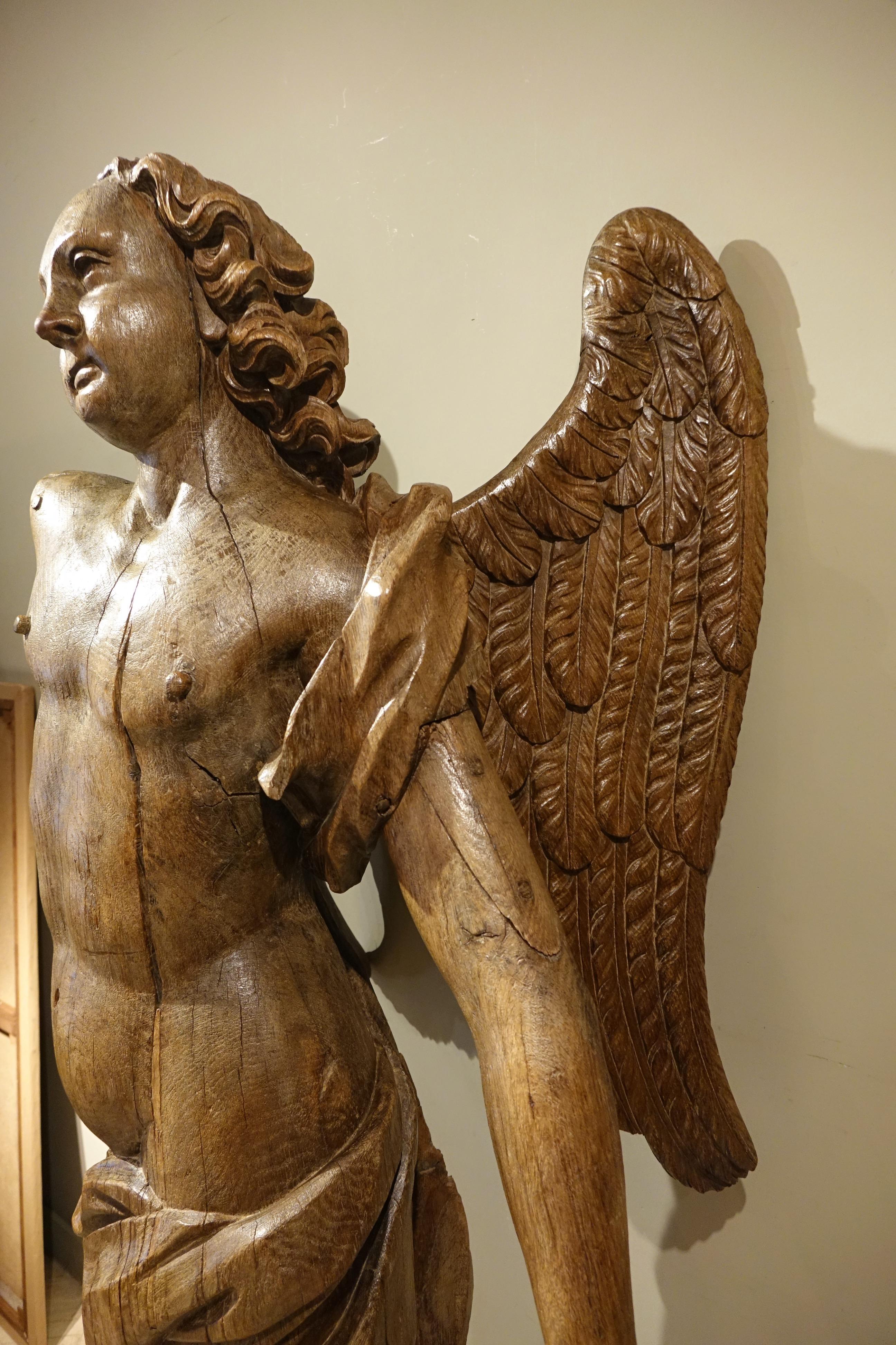 Very Large Oak Winged Angel, 17th century In Good Condition In PARIS, FR